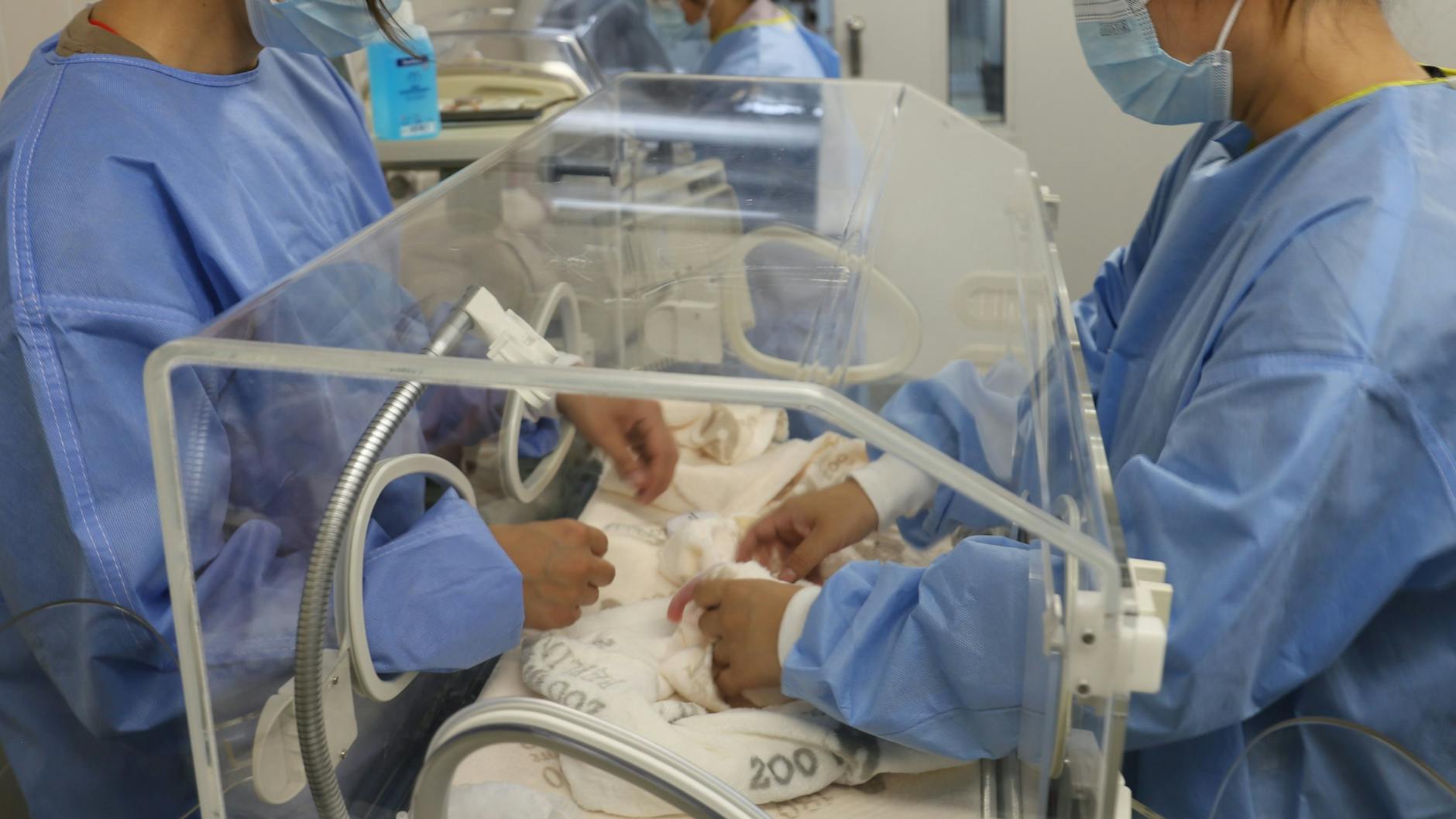 Hinter den Kulissen sieht es in der Panda-Anlage wie auf einer Babystation in einer Klinik aus.