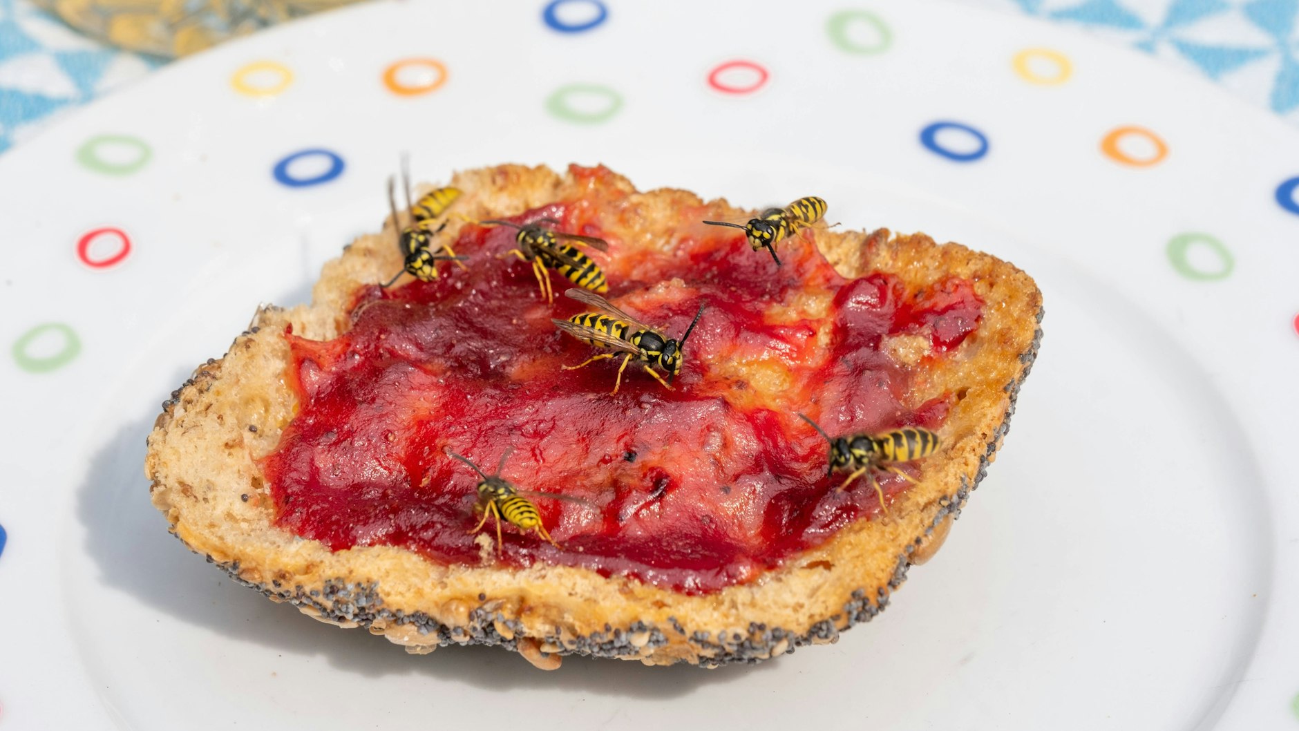 Mit Marmelade belegte Brötchen ziehen Wespen magisch an.