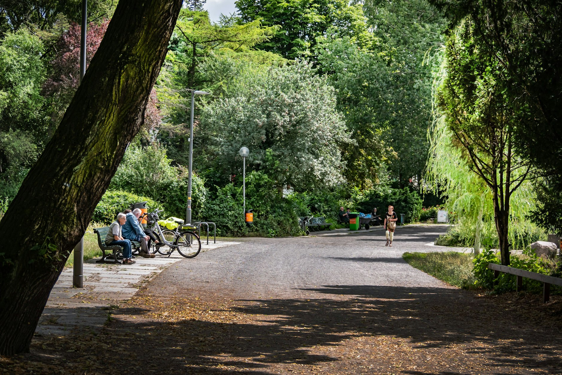 Die Hecken rund um den Schäfersee in Reinickendorf sind von Ratten befallen worden&nbsp; &nbsp;