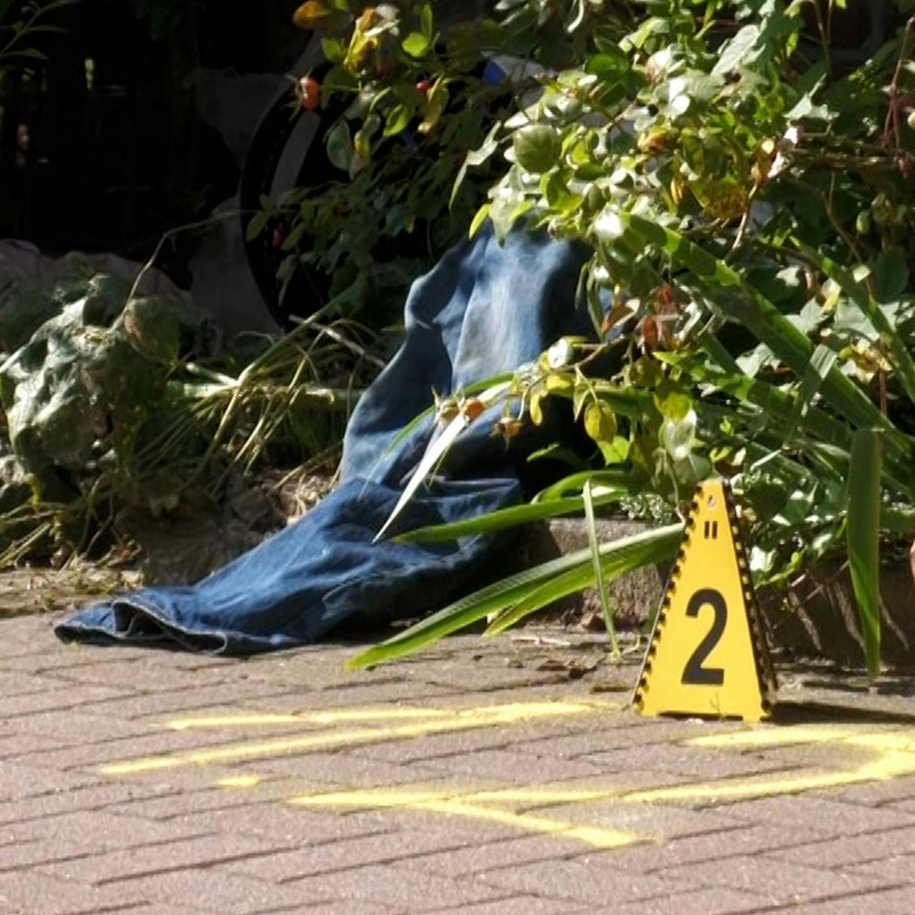 Horror im Park: Passantin findet menschlichen Kopf in Plastiktüte!