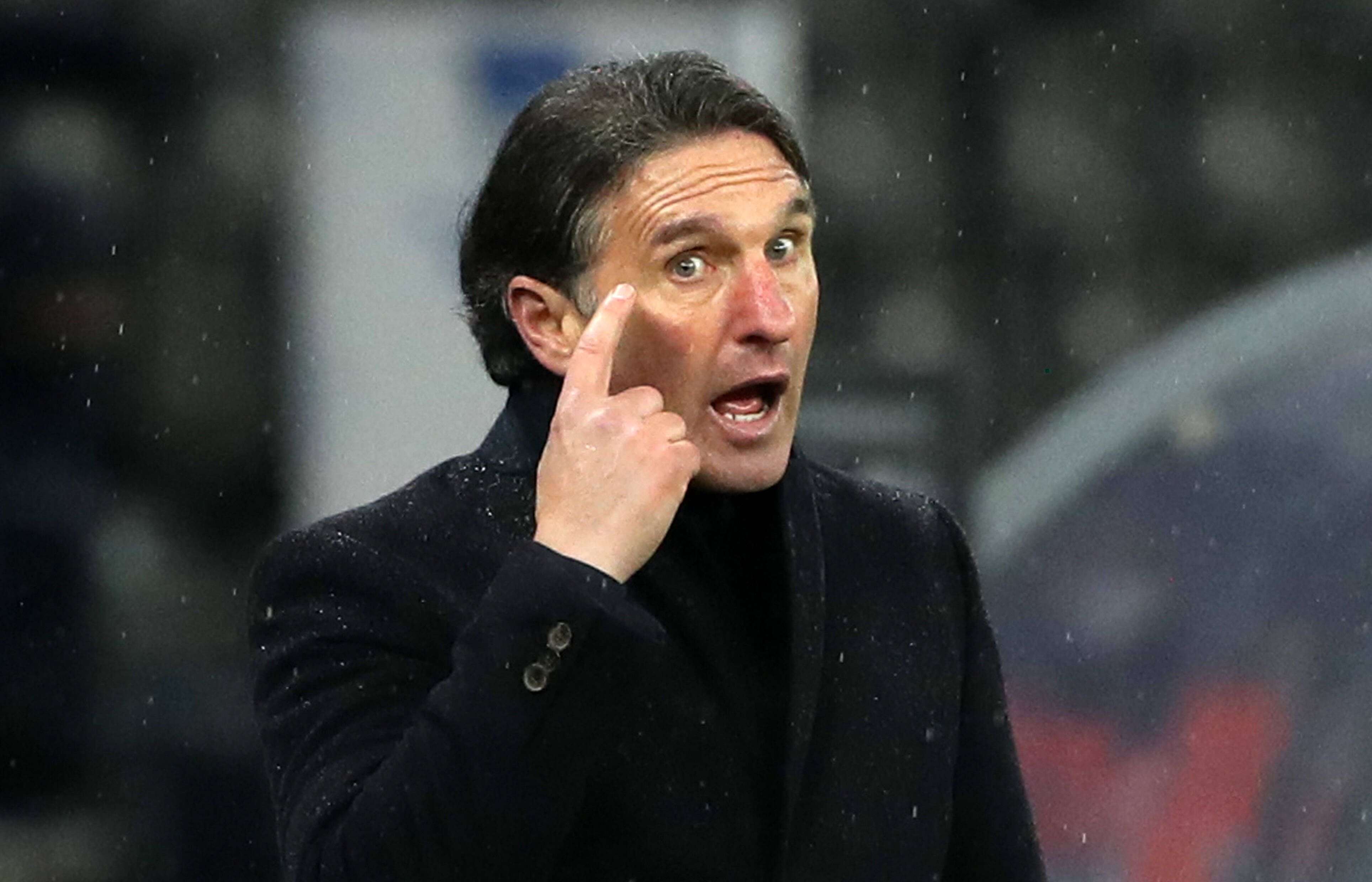 Image - Hertha BSC: Wandervogel Bruno Labbadia zieht es nach Afrika!