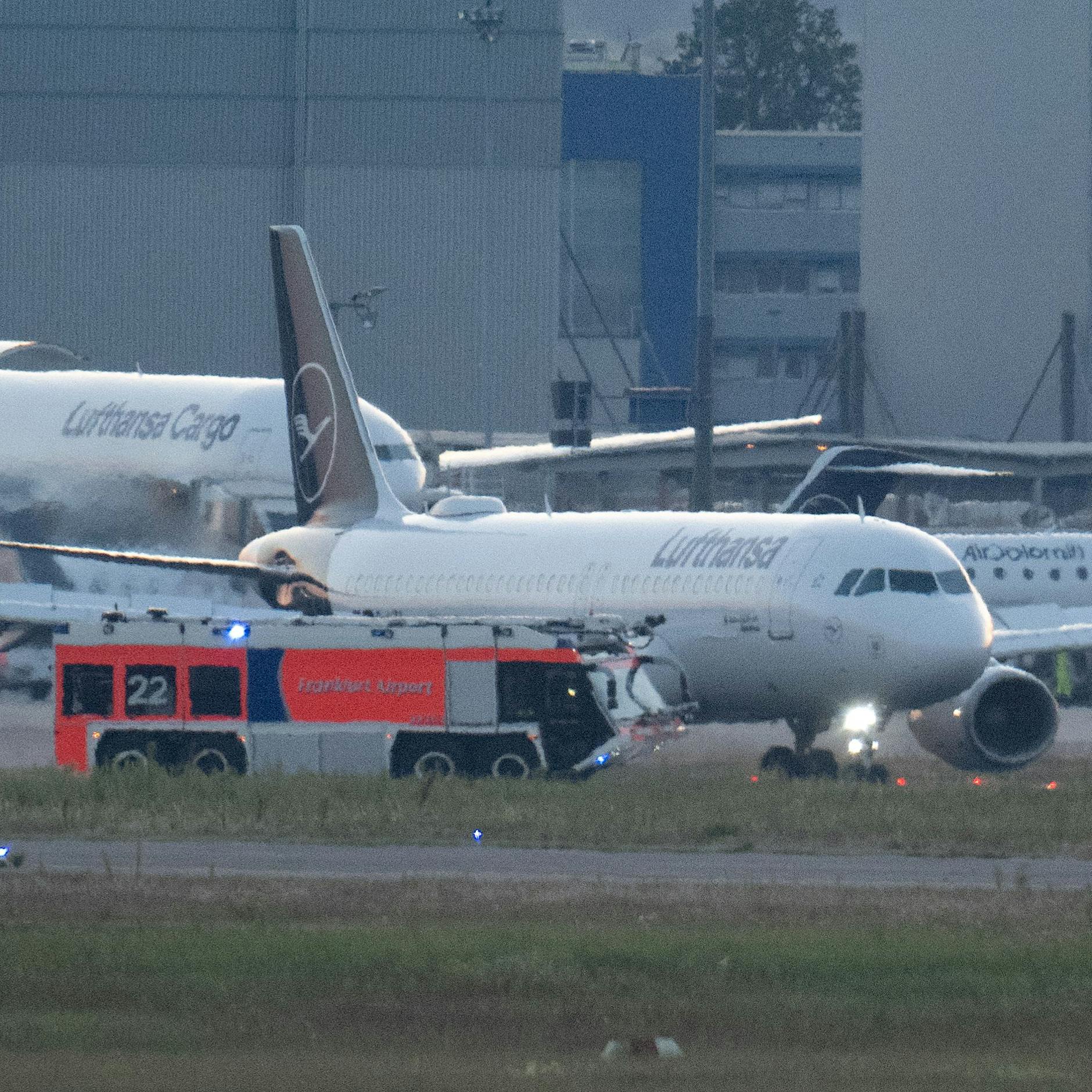 Lufthansa-Flugzeug muss nach Vogelschlag umkehren - keine Landung in Berlin
