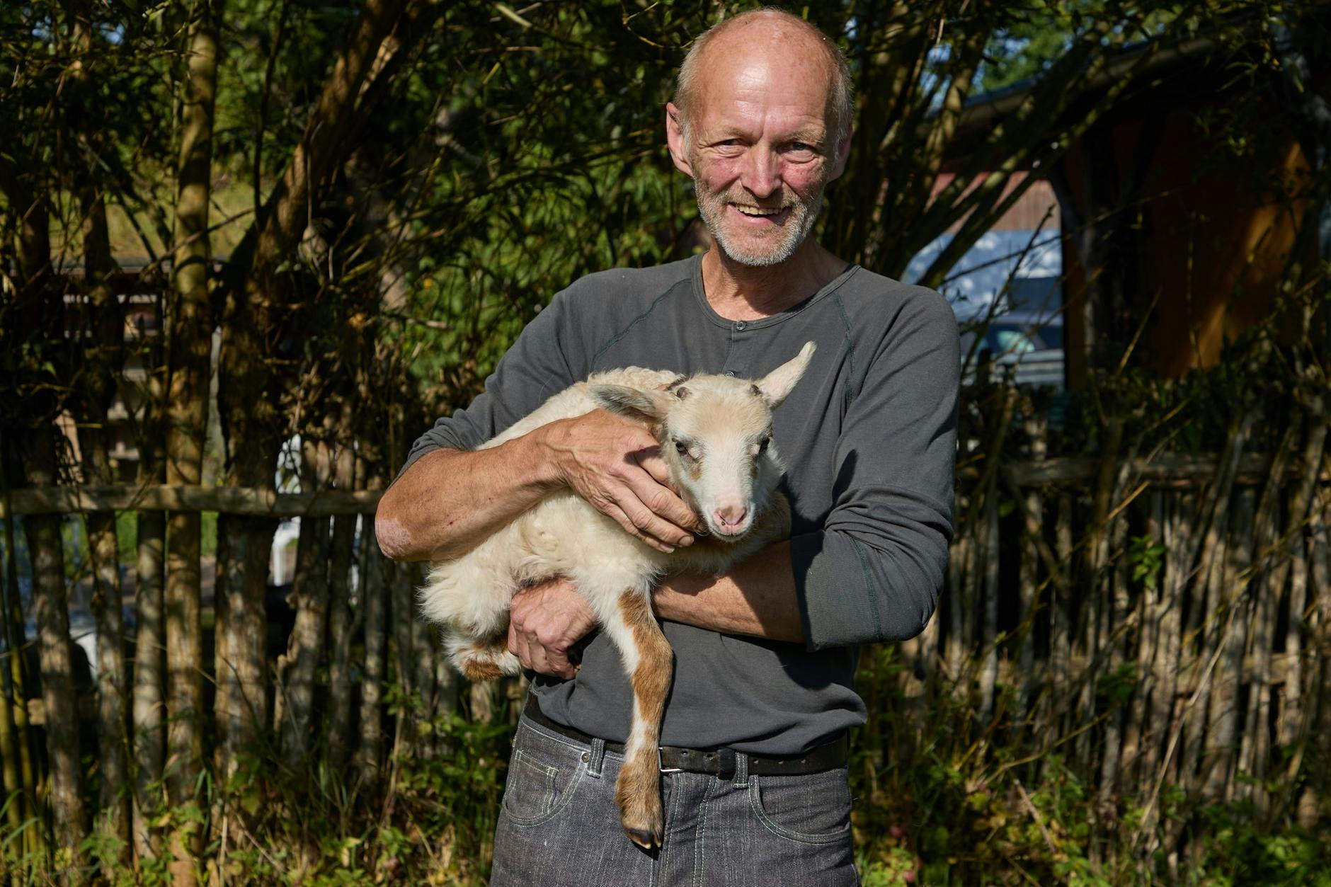 Auf einem Resthof von Hofbesitzer bei Glücksburg an der Flensburger Förde ist das Lamm-Zicklein Flumo geboren.