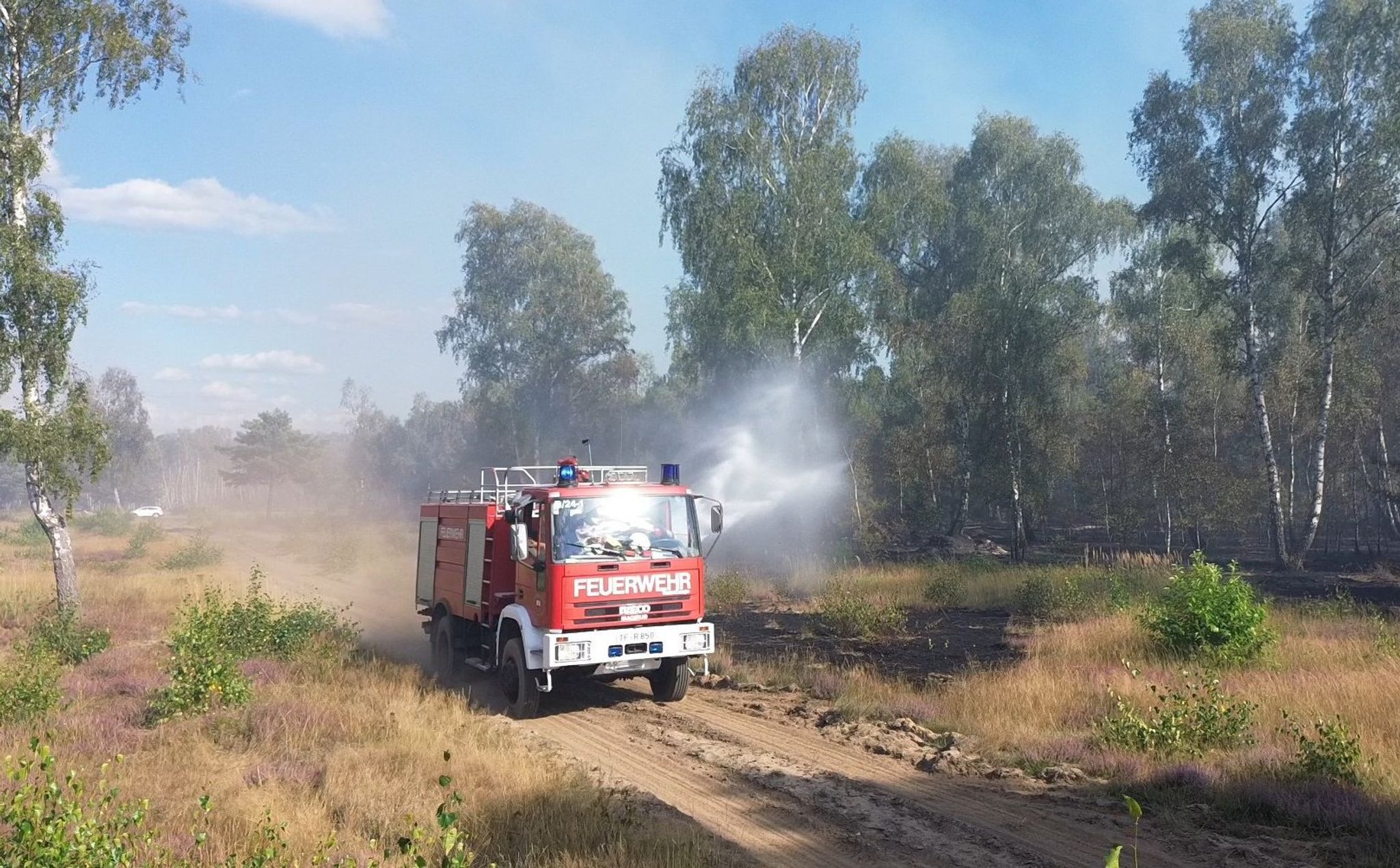 Image - Nach Horror-Feuer im letzten Jahr: Erneuter Waldbrand in Jüterbog