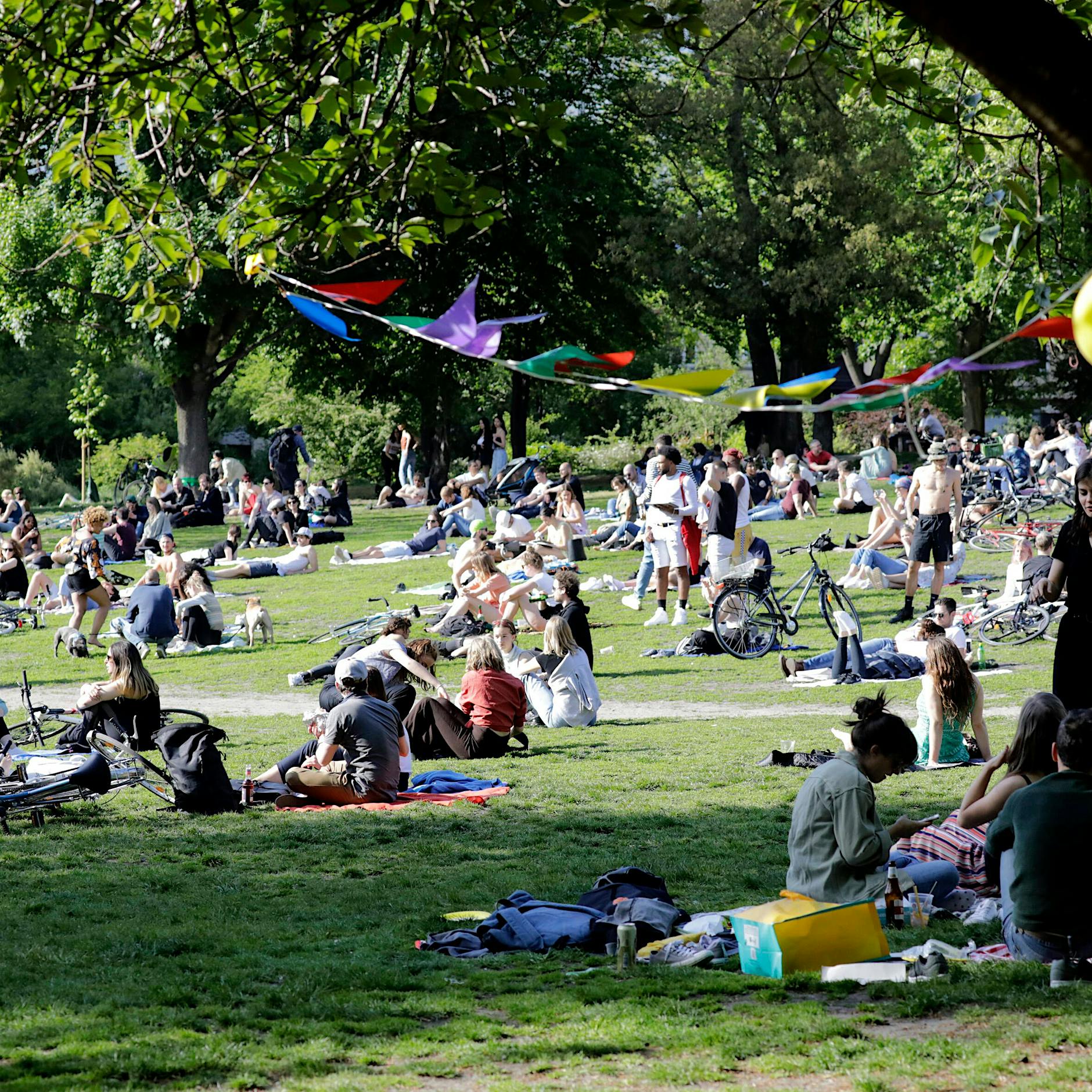 Berlin-Mitte: Spielplatz am Weinbergsweg wird gesperrt