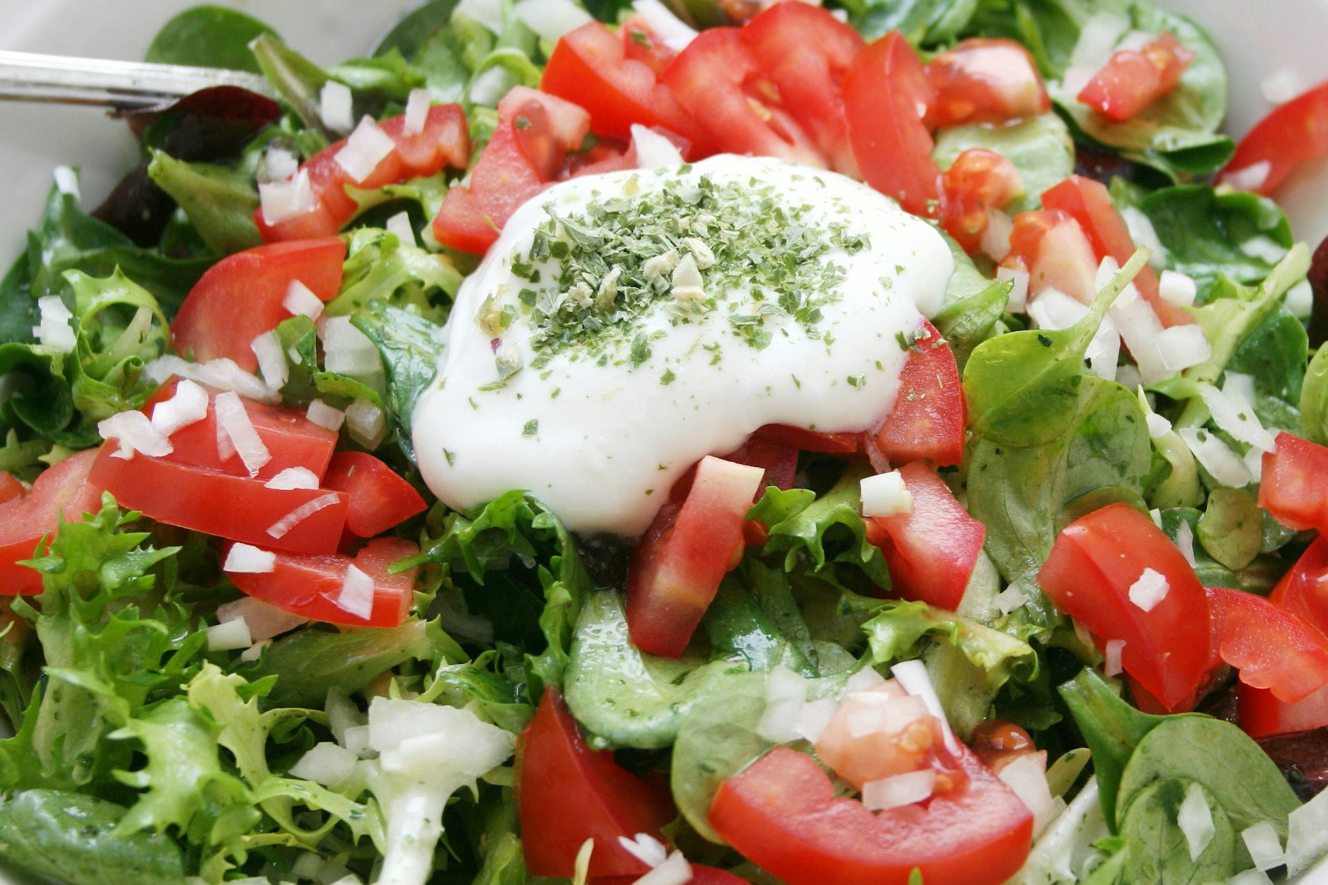 Leckerer Bruschetta-Salat ist ein richtig geniales Gericht für heiße Tage - das Rezept ist richtig einfach und schnell gemacht!