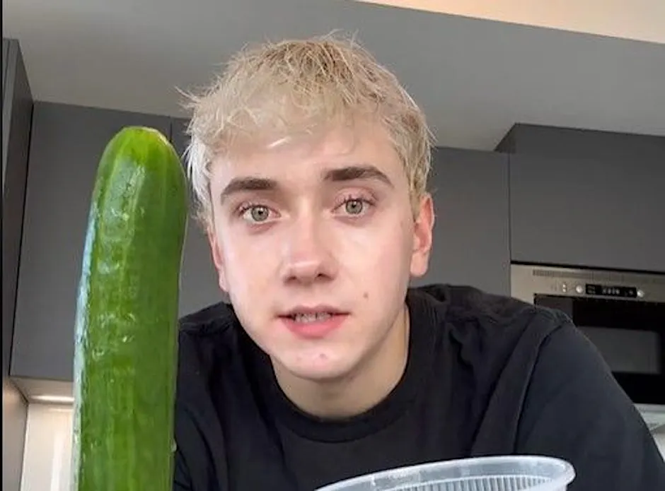 Logan Moffitt: Influencer macht Salat und lst Gurken-Krise in Island aus Logan Moffitt: Influencer macht Salat und lst Gurken-Krise in Island aus