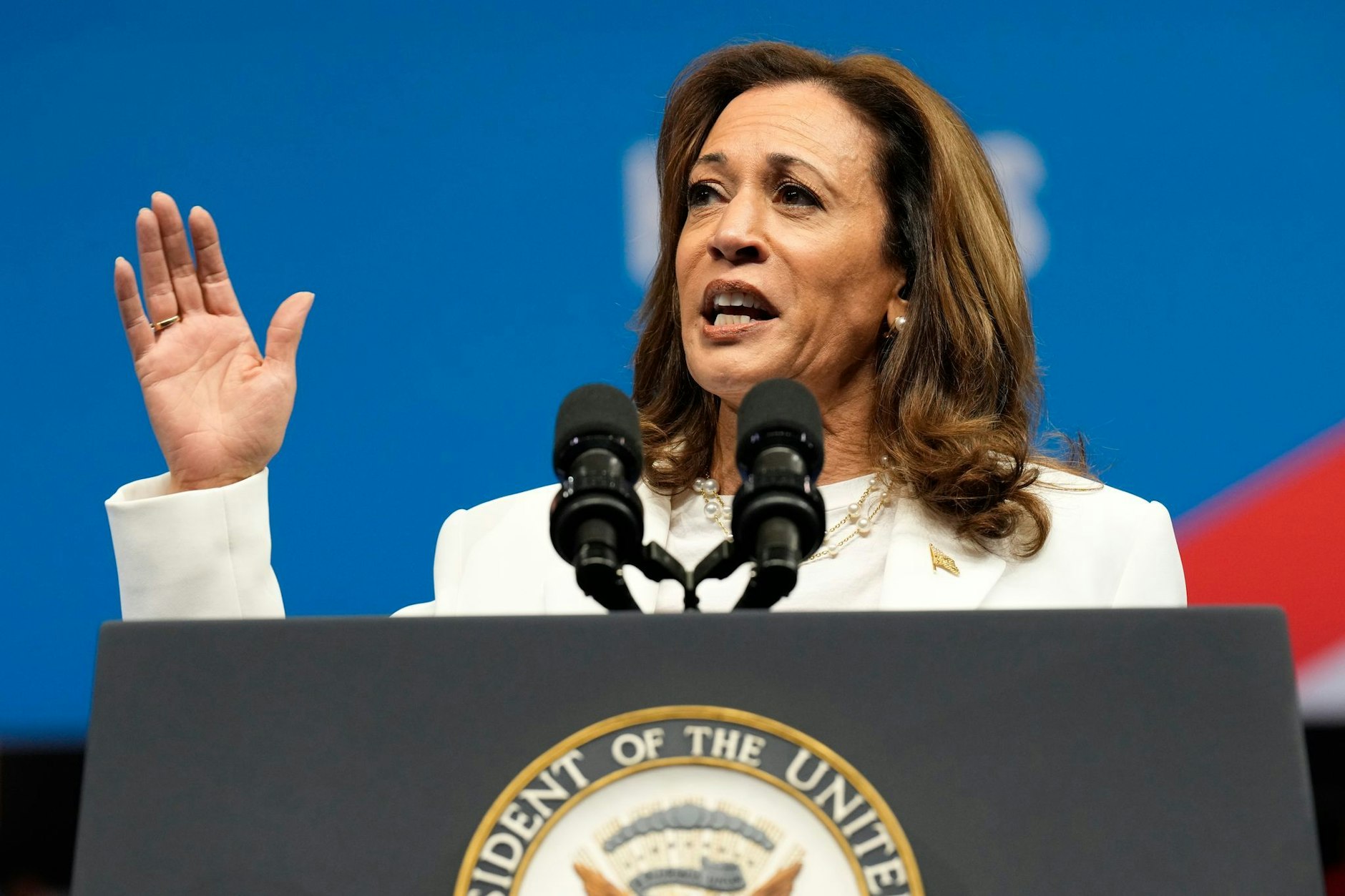 Die demokratische Präsidentschaftskandidatin und US-Vizepräsidentin Kamala Harris spricht bei einer Wahlkampfveranstaltung.