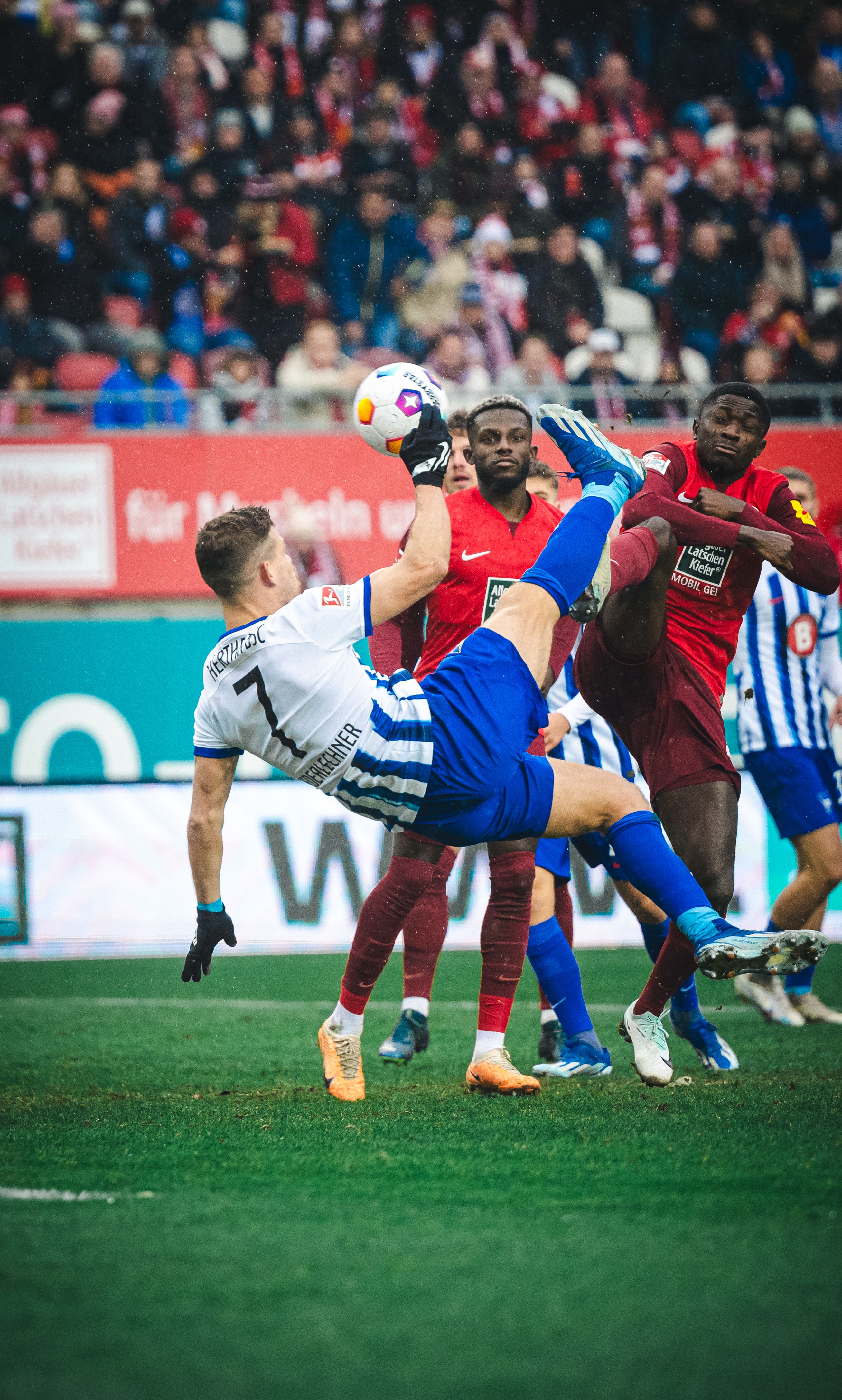 Image - Hertha-Stürmer Niederlechner: Startelf, Joker? Egal, Hauptsache Fallrückzieher