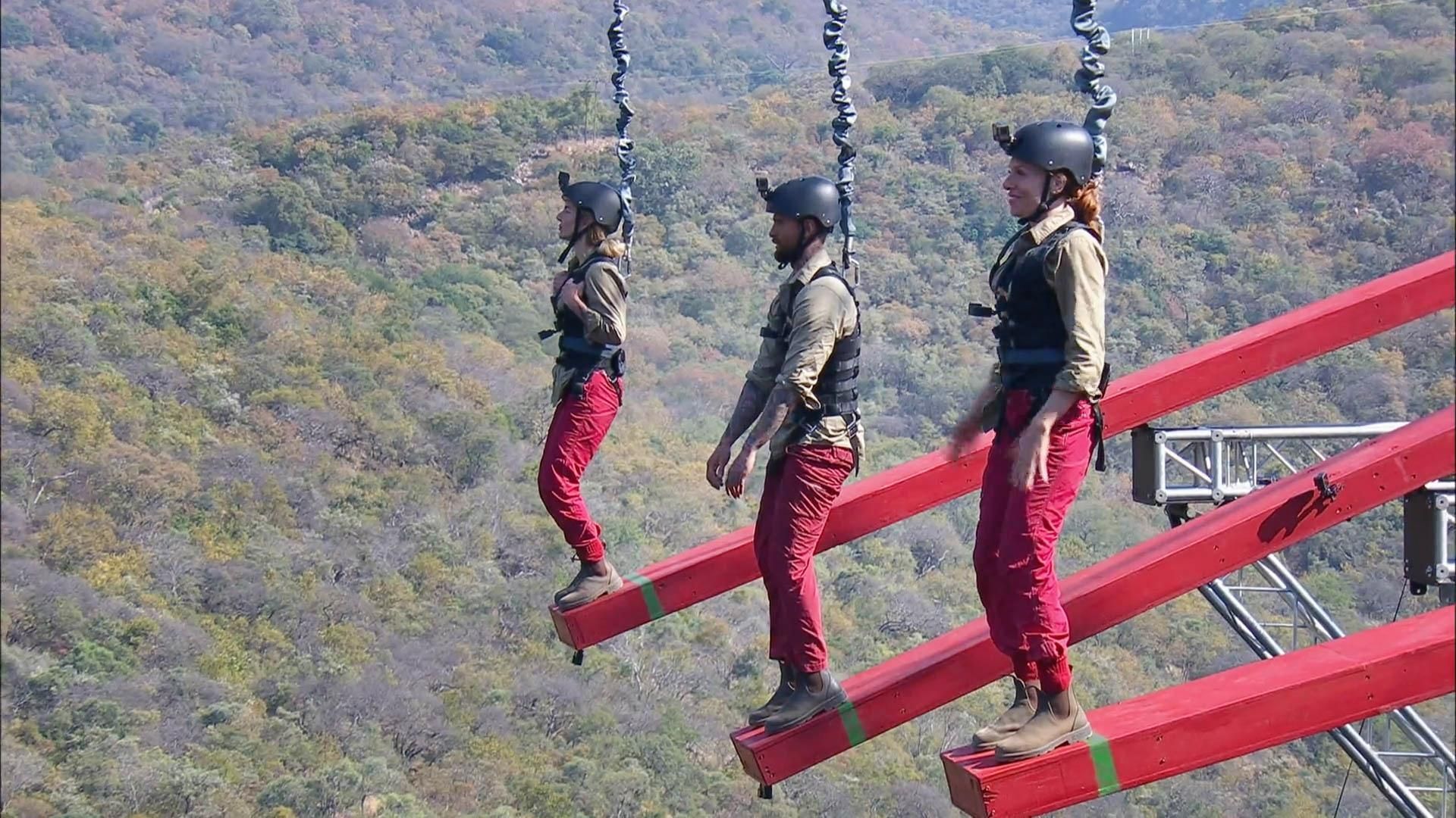 Image - Im Dschungelcamp abgestürzt: DIESER Star fliegt kurz vorm Finale raus!