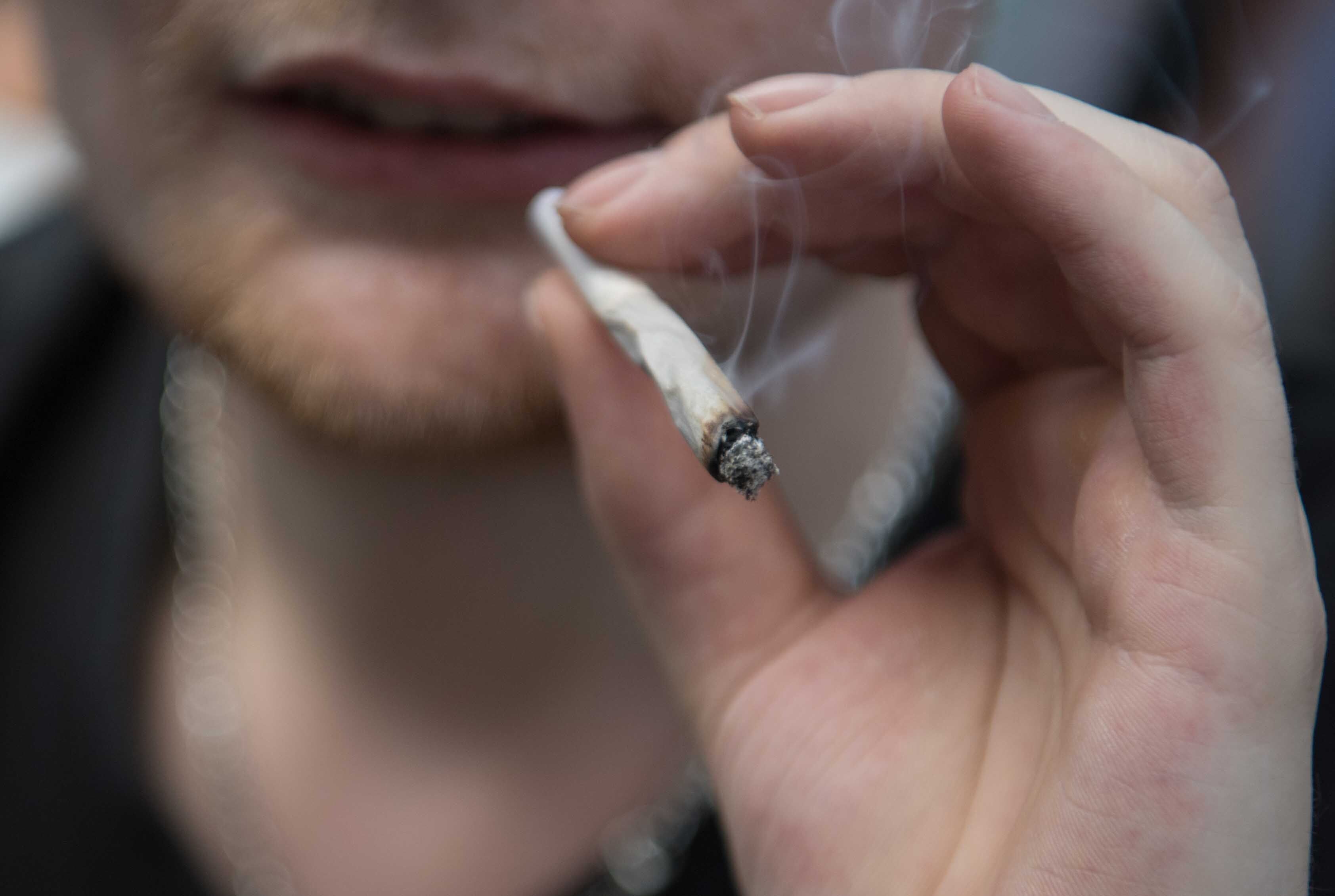 Mehr als 280 Anträge für Anbauvereine – kommt jetzt der Cannabis-Boom?