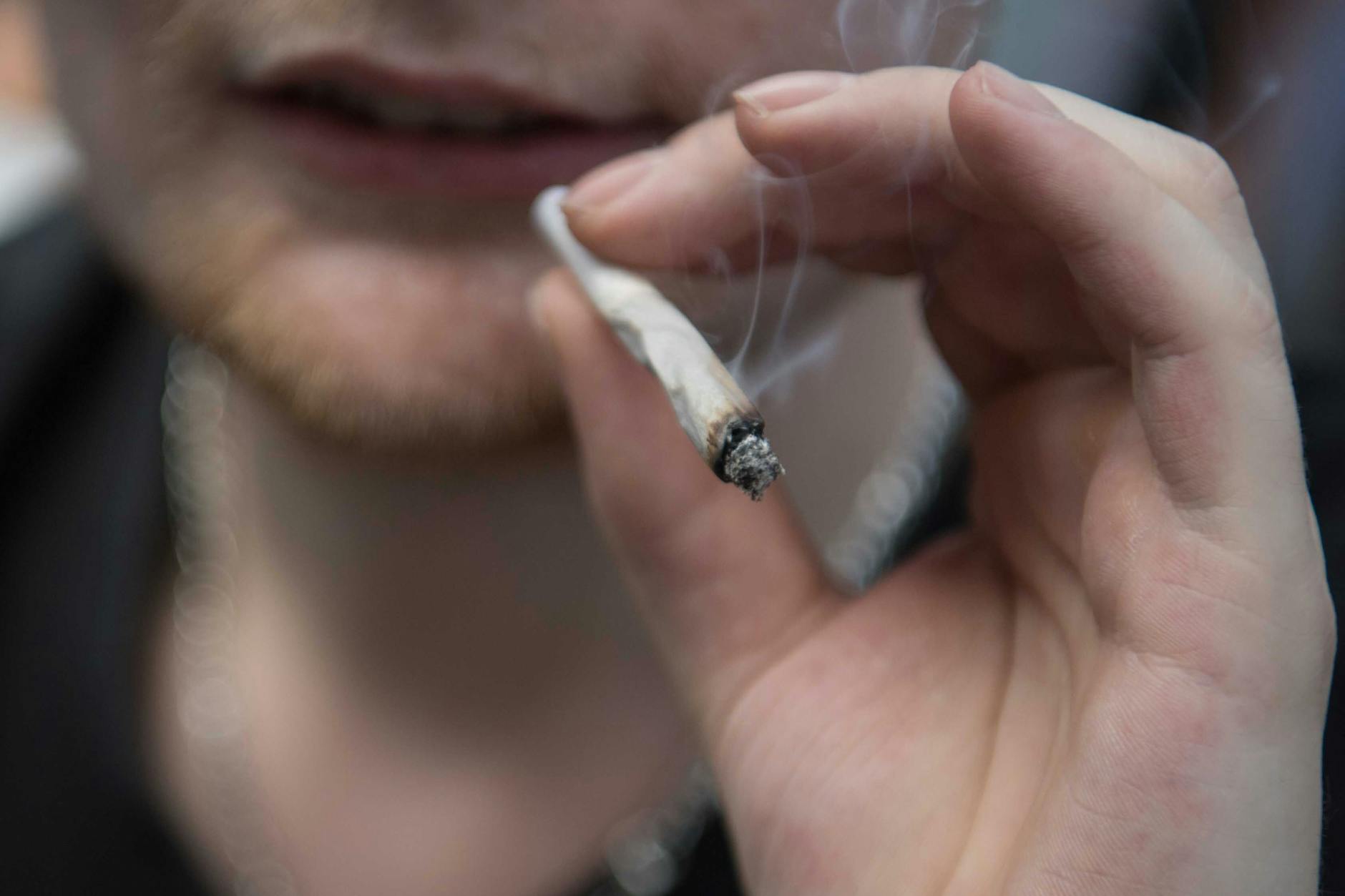 Cannabis-Legalisierung: Mehr als 280 Anträge für Anbauvereine – Behörden müssen auf Ansturm reagieren.