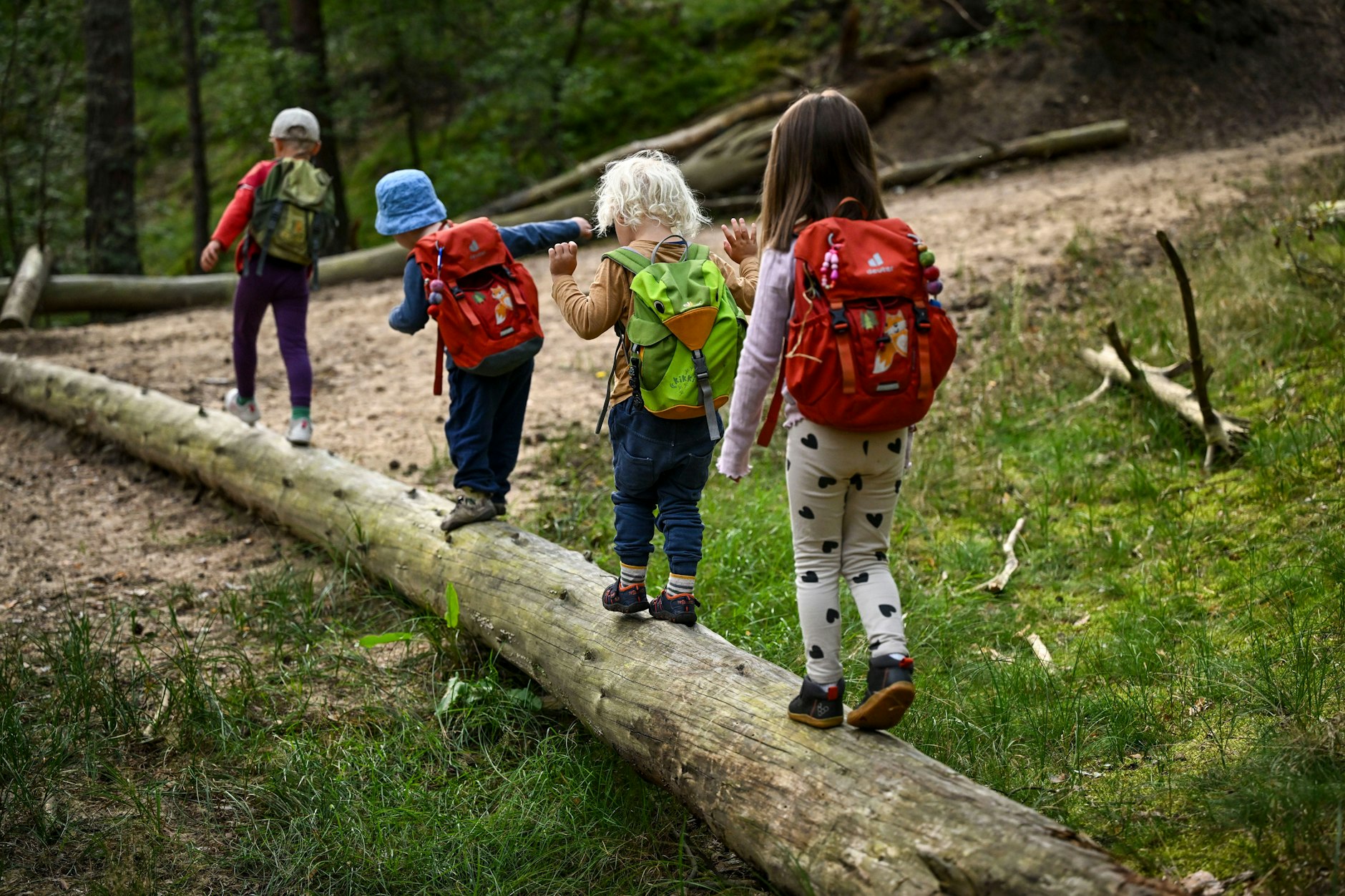 Die Kinder vom Waldkindergarten „Waldzwerge“ gehen auf ihrem Weg in den Wald über einen umgestürzten Baum. Hier befinden sich die Kinder mit ihren Erzieherinnen den ganzen Tag in der freien Natur im Rhythmus der Jahreszeiten.