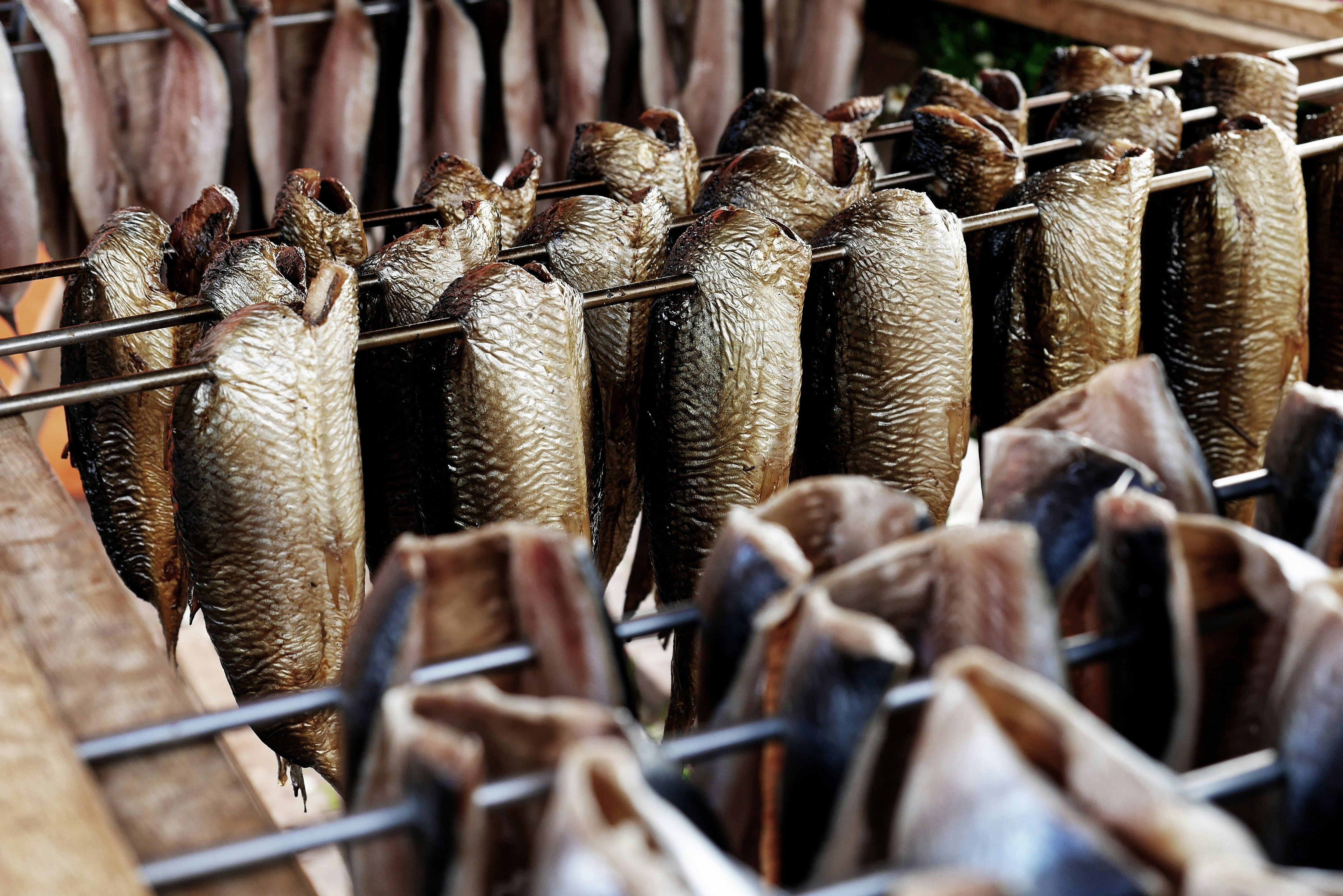 Image - Carbonara mit Aal statt Schinken: Unser Rezept der Woche