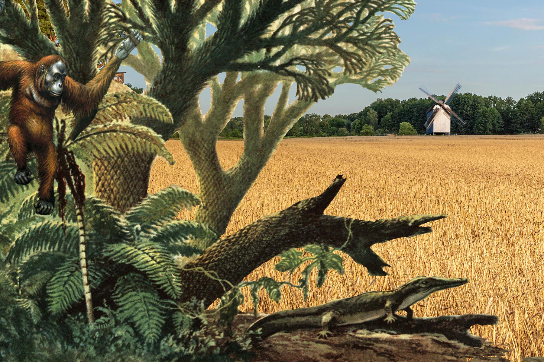 Sie werden staunen, was auf Brandenburgs Ackerflächen so alles wächst – neben Althergebrachtem wie Weizen, Roggen oder Gerste. 