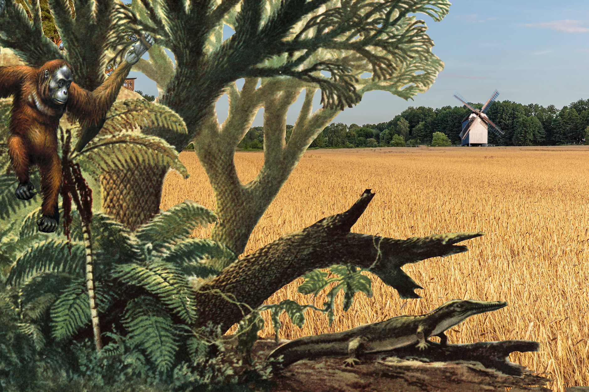 Sie werden staunen, was auf Brandenburgs Ackerflächen so alles wächst – neben Althergebrachtem wie Weizen, Roggen oder Gerste.&nbsp;