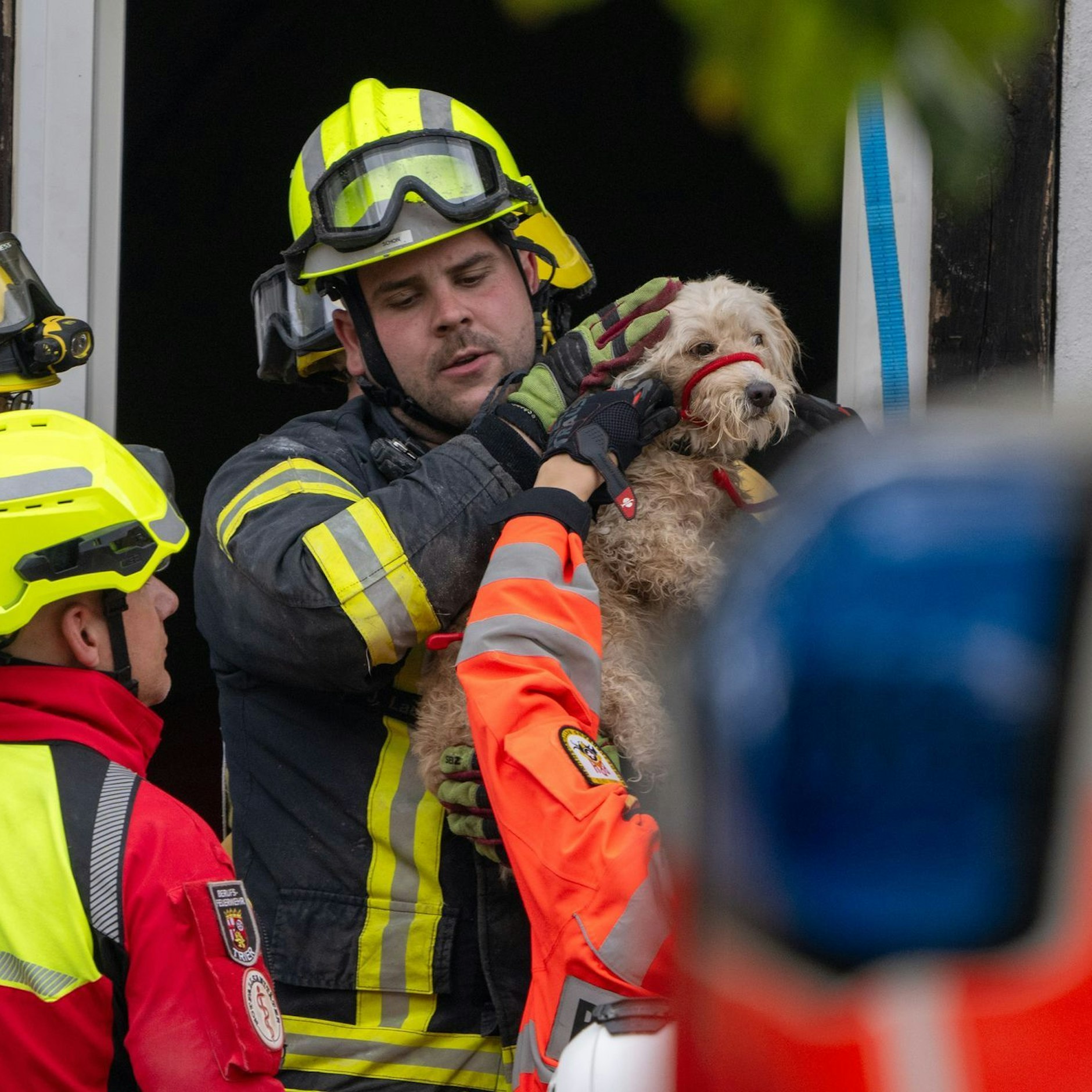 Feuerwehrleute retten Hund Queeni aus den Trümmern des Hotels in Kröv.