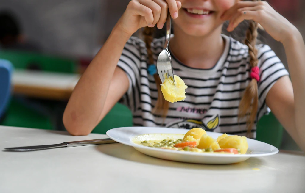 Ach, du faules Ei: Schulessen-Katastrophe nach Ferienende