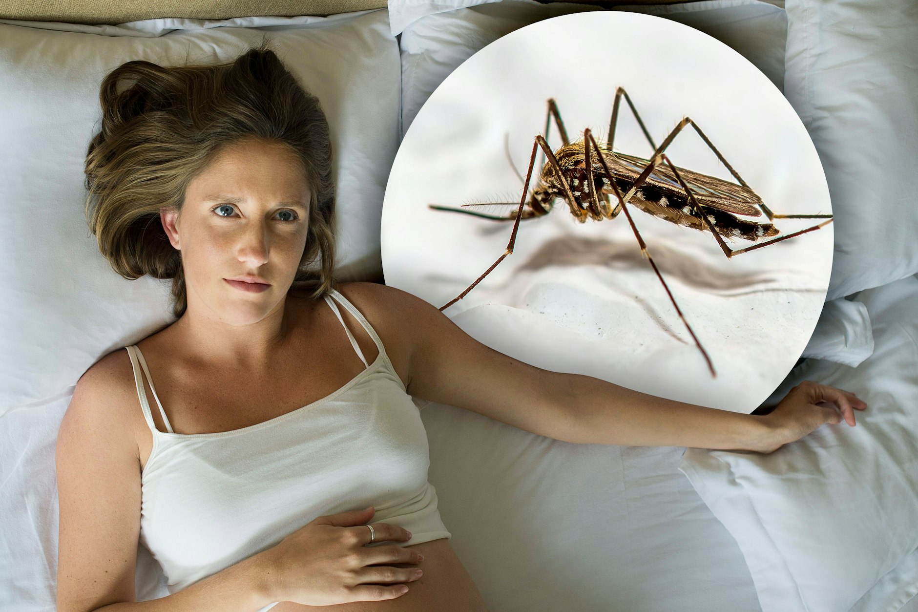 Mücken im Schlafzimmer können richtig lästig sein - sie rauben uns den Schlaf. Aber: Wie wird man die Stech-Biester wieder los?
