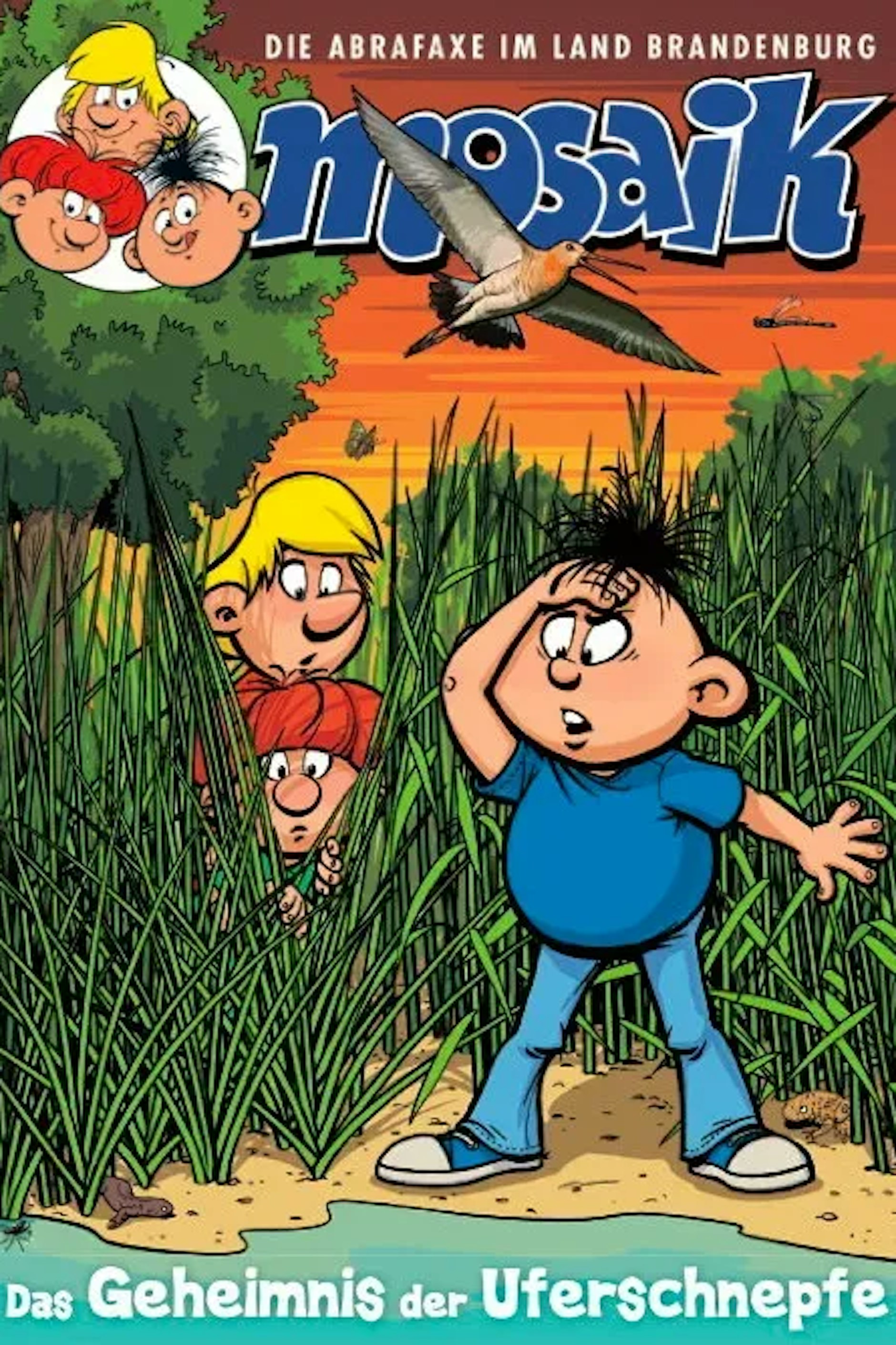 Das Cover des neuen Mosaik-Heftes: „Die Abrafaxe im Land Brandenburg: Das Geheimnis der Uferschnepfe“.