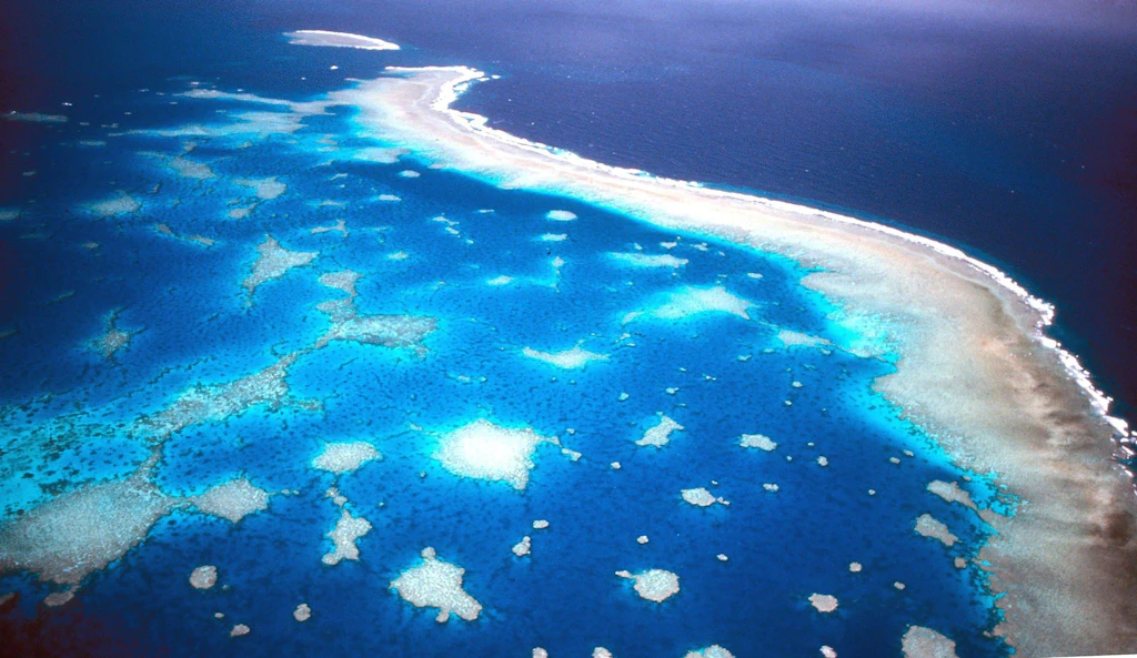 Forscherin: Great Barrier Reef hat „seinen Todesstoß erhalten“