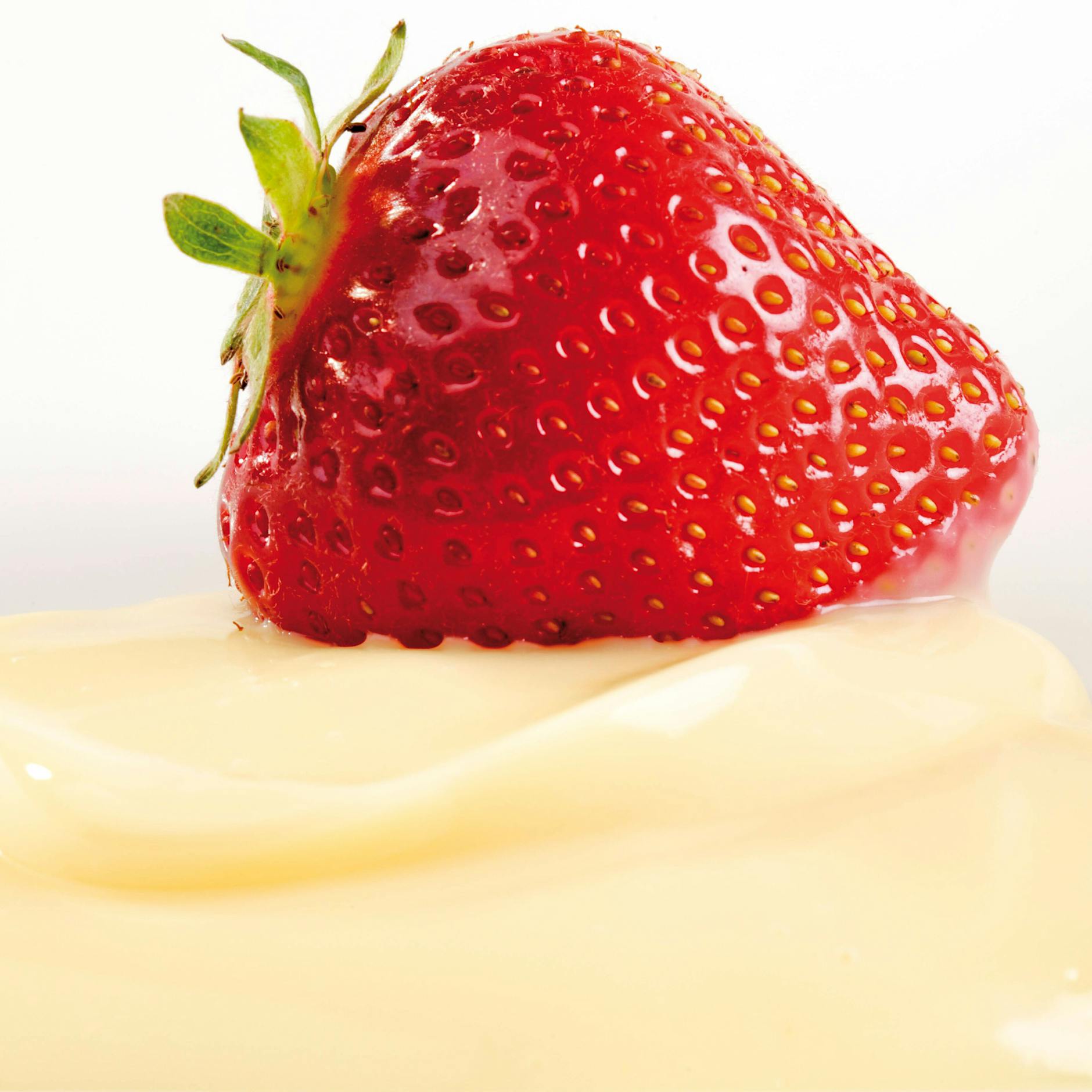 Vanillepudding selber machen: So einfach, so lecker, so schnell gemacht