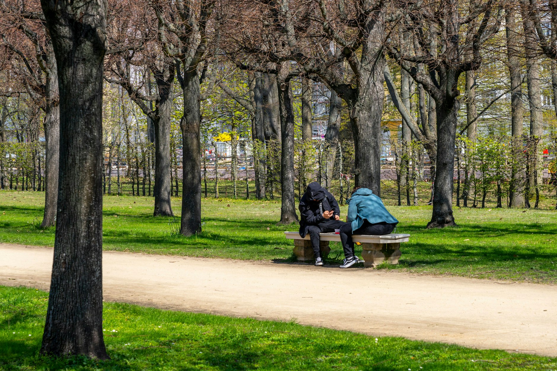 Spaziergänger in Berliner Parks müssen derzeit vorsichtig sein.