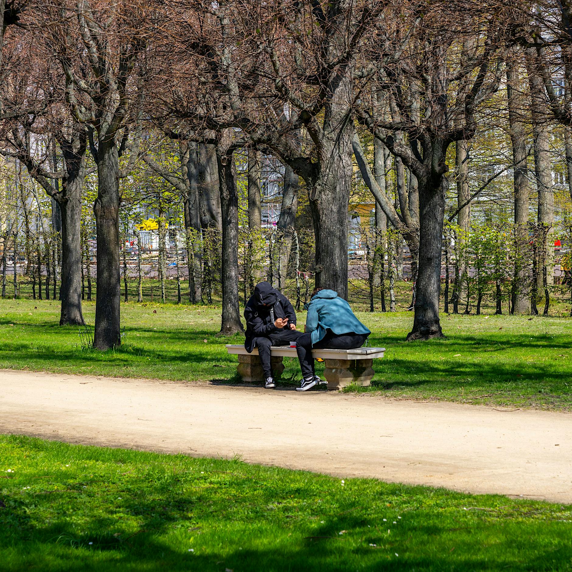 Gefahr in Berliner Parks: Äste können abbrechen - Warnung für Spaziergänger