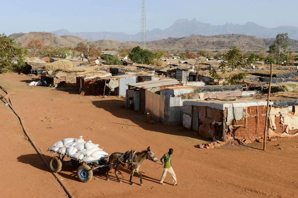 Entwicklungshilfe in Afrika: Wem nützt der Aktivismus der Helferindustrie?