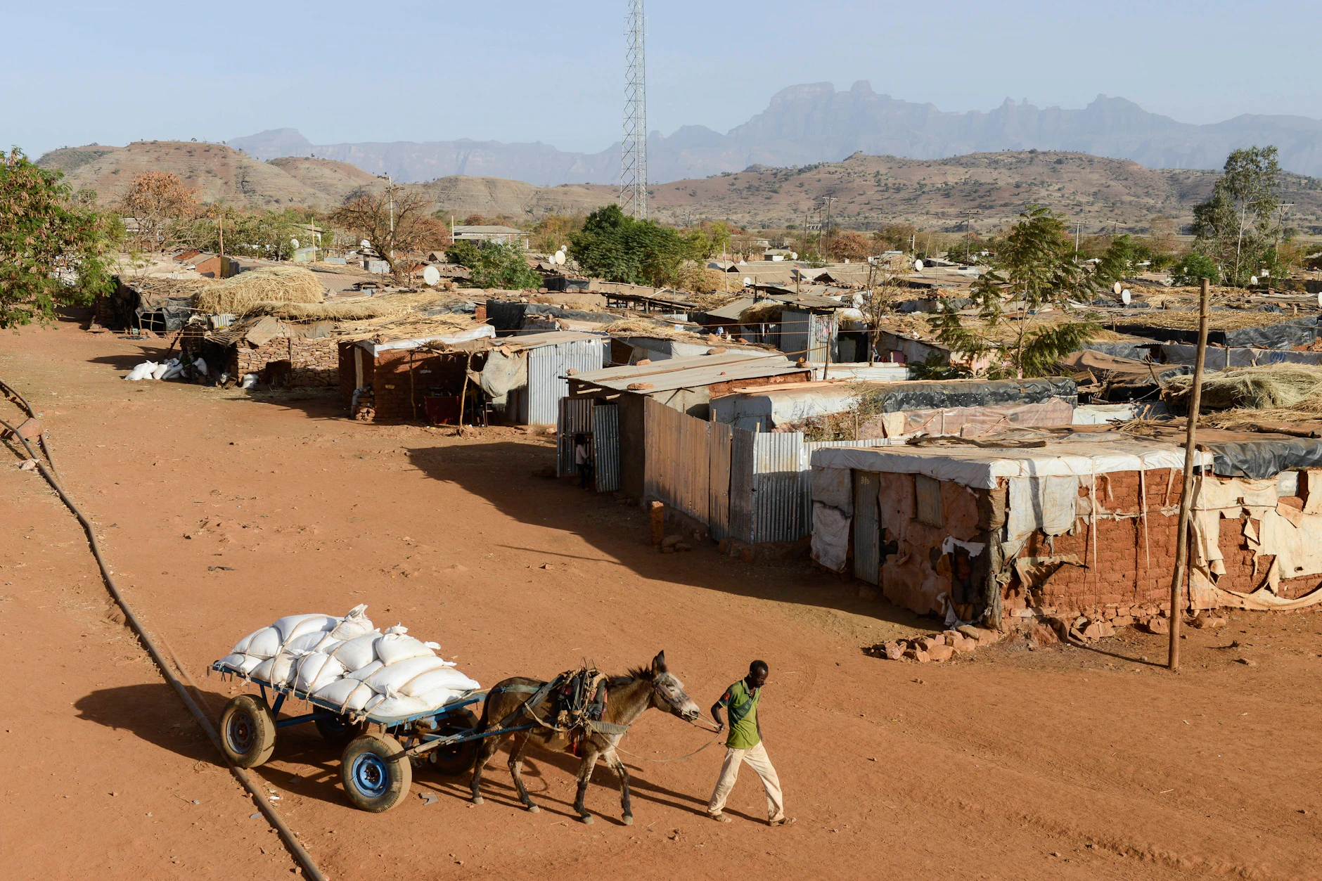 In Shire, in der Tigray-Region Äthiopiens, befindet sich das UNHCR-Flüchtlingslager May-Ayni für eritreische Flüchtlinge. Nahrungsmittelhilfen des World Food Programme werden dort per Pferdewagen transportiert.