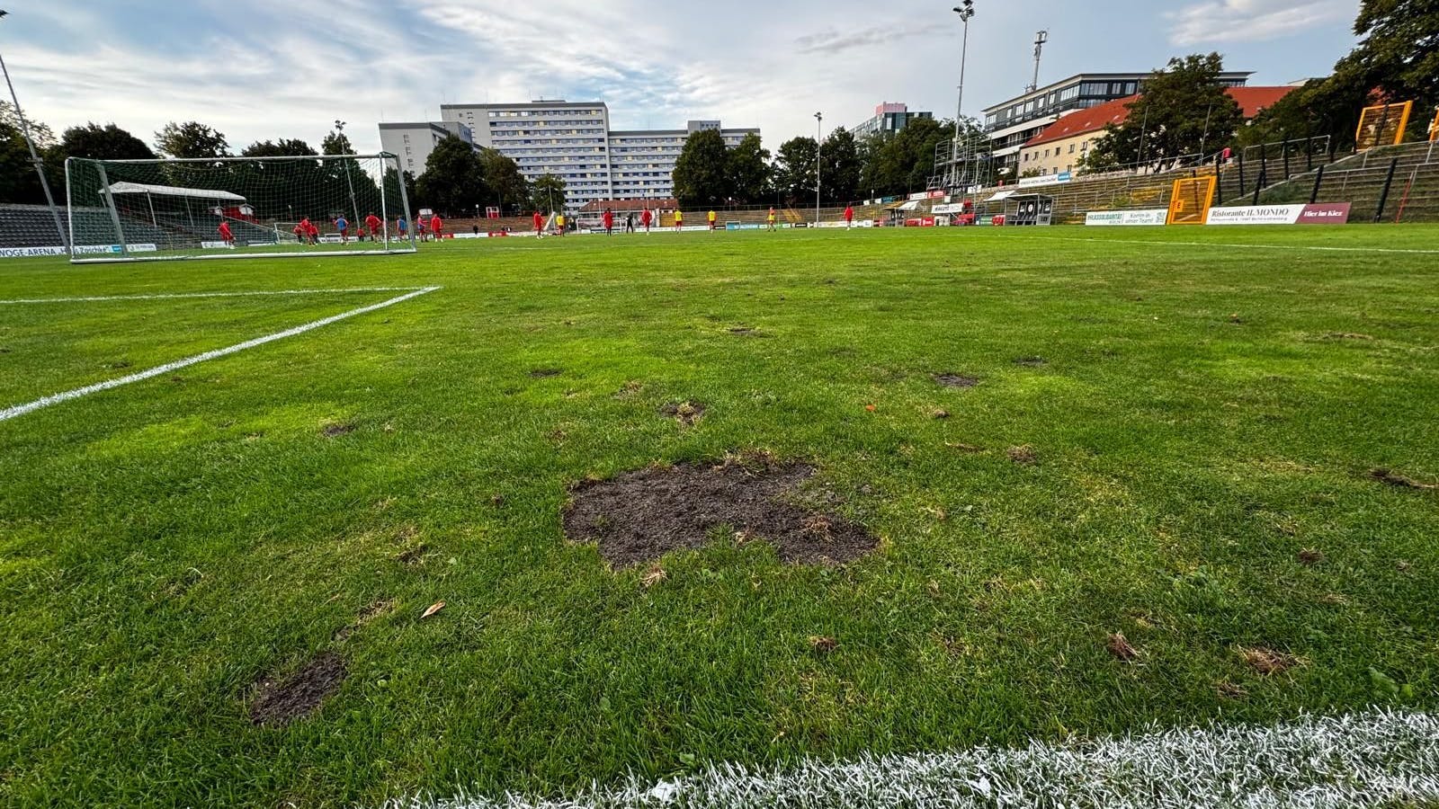 Löcher dieser Größe hinterlassen die Krähen im Zoschkestadion auf der Suche nach Mückenlarven.