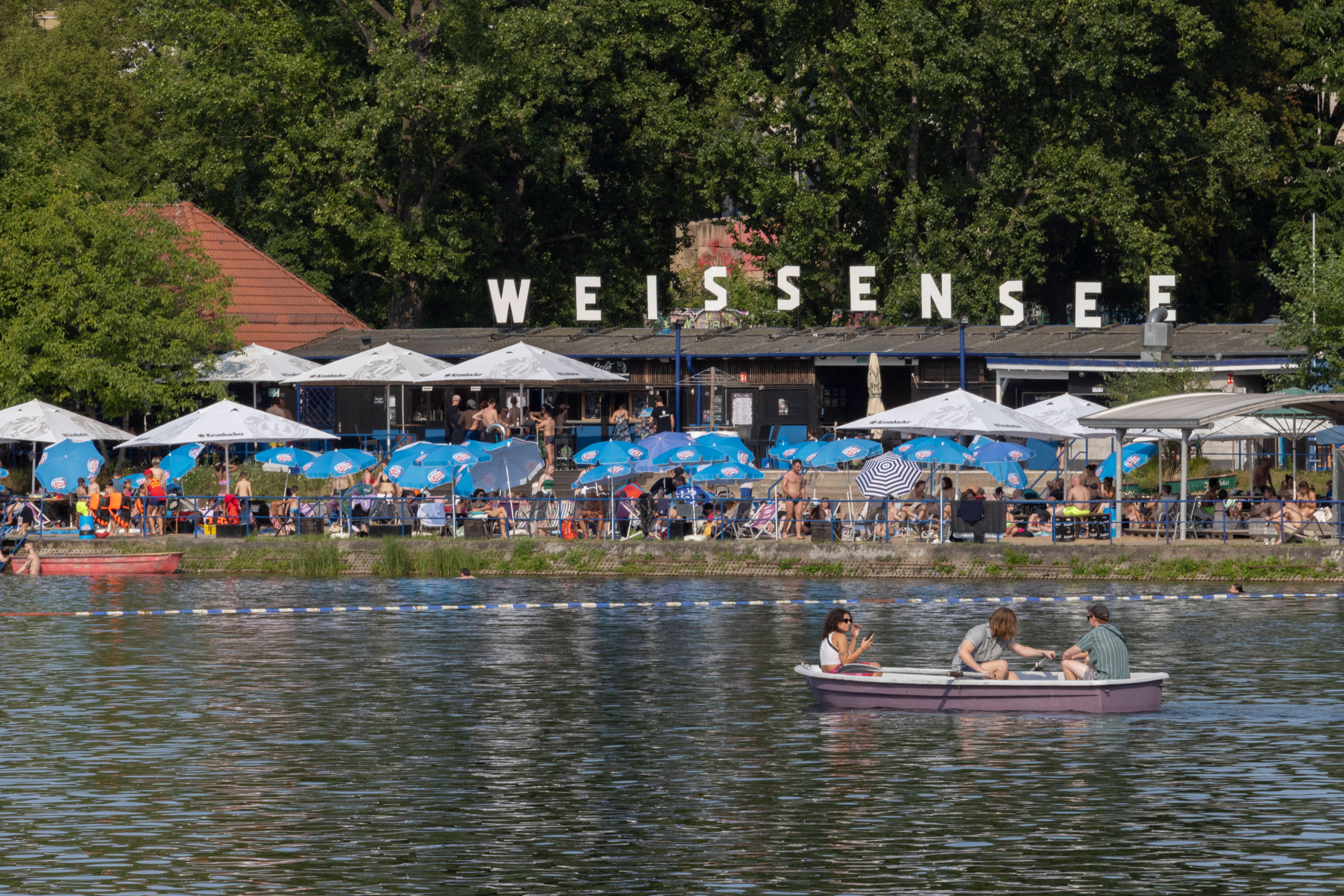 Ämterchaos: DARUM wackelt der Zaun-Plan gegen Wildbader am Weißen See!