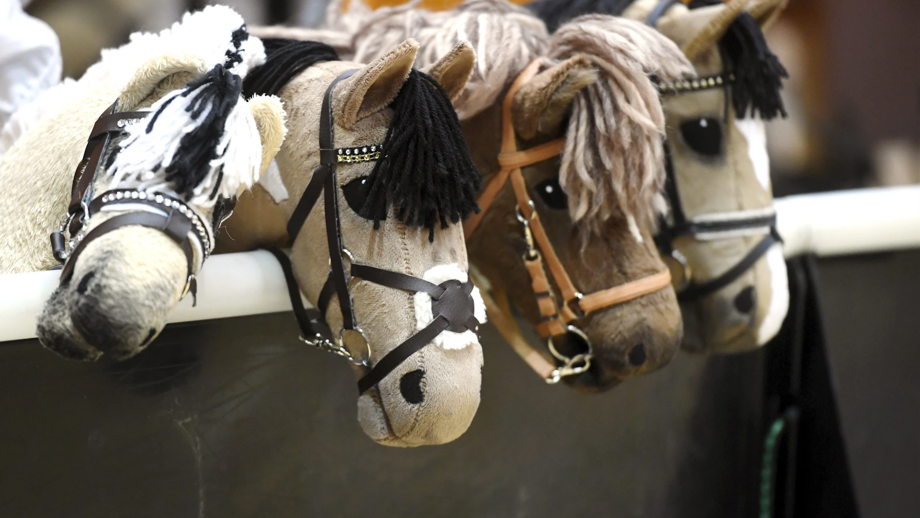 Die Finnen haben das Ganze erfunden. Hier Steckenpferde bei den finnischen Hobby Horsing Meisterschaften.