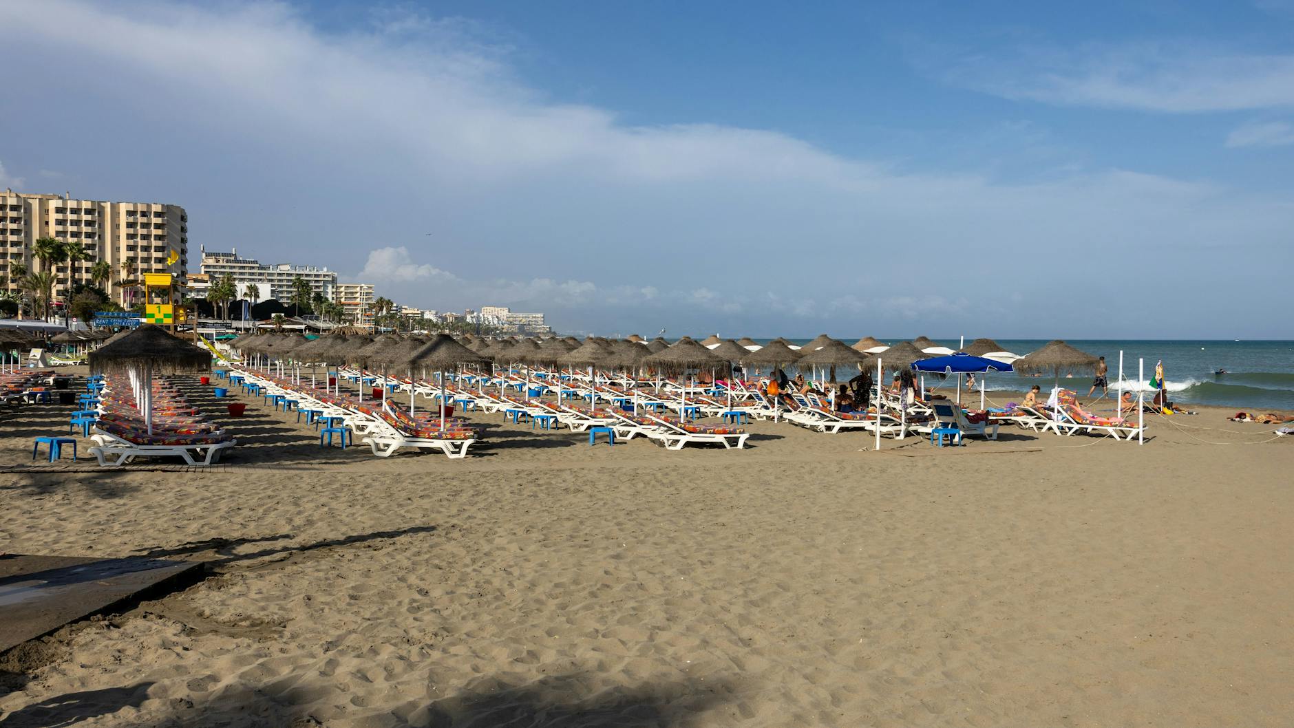 An den Küsten der Costa del Sol tritt die Horror-Qualle gerade in Massen auf.