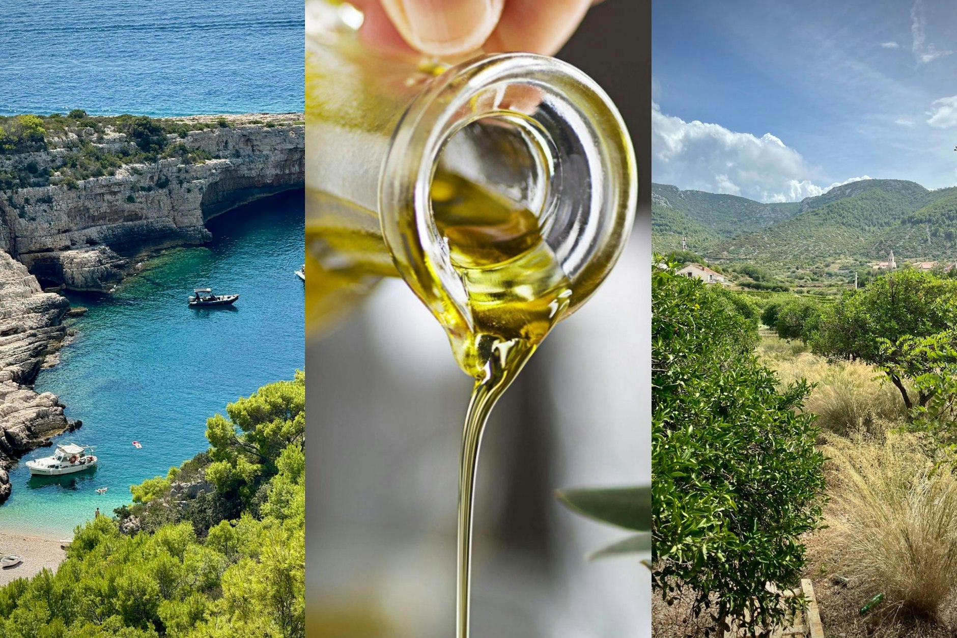 Ein heißer Septembertag in den endlosen Olivenhainen Dalmatiens. Die Olivenernte steht bevor und jede Frucht birgt das Versprechen von flüssigem Gold. In Kroatien lernen wir, wie man fruchtiges, scharfes und echtes Öl von minderwertigen Fälschungen unterscheidet.