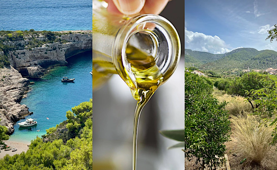 Ein heißer Septembertag in den endlosen Olivenhainen Dalmatiens. Die Olivenernte steht bevor und jede Frucht birgt das Versprechen von flüssigem Gold. In Kroatien lernen wir, wie man fruchtiges, scharfes und echtes Öl von minderwertigen Fälschungen unterscheidet.