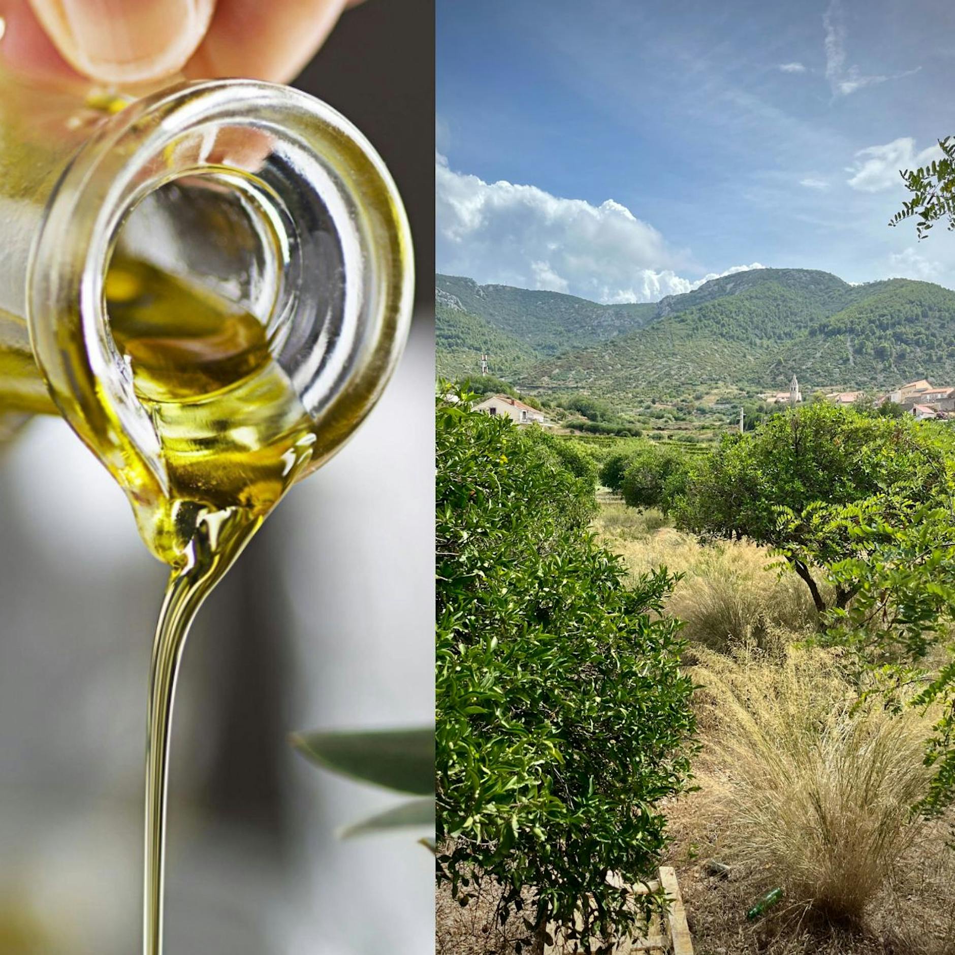 Olivenöl-Bauer packt aus: So täuscht die Industrie mit Lampenöl!