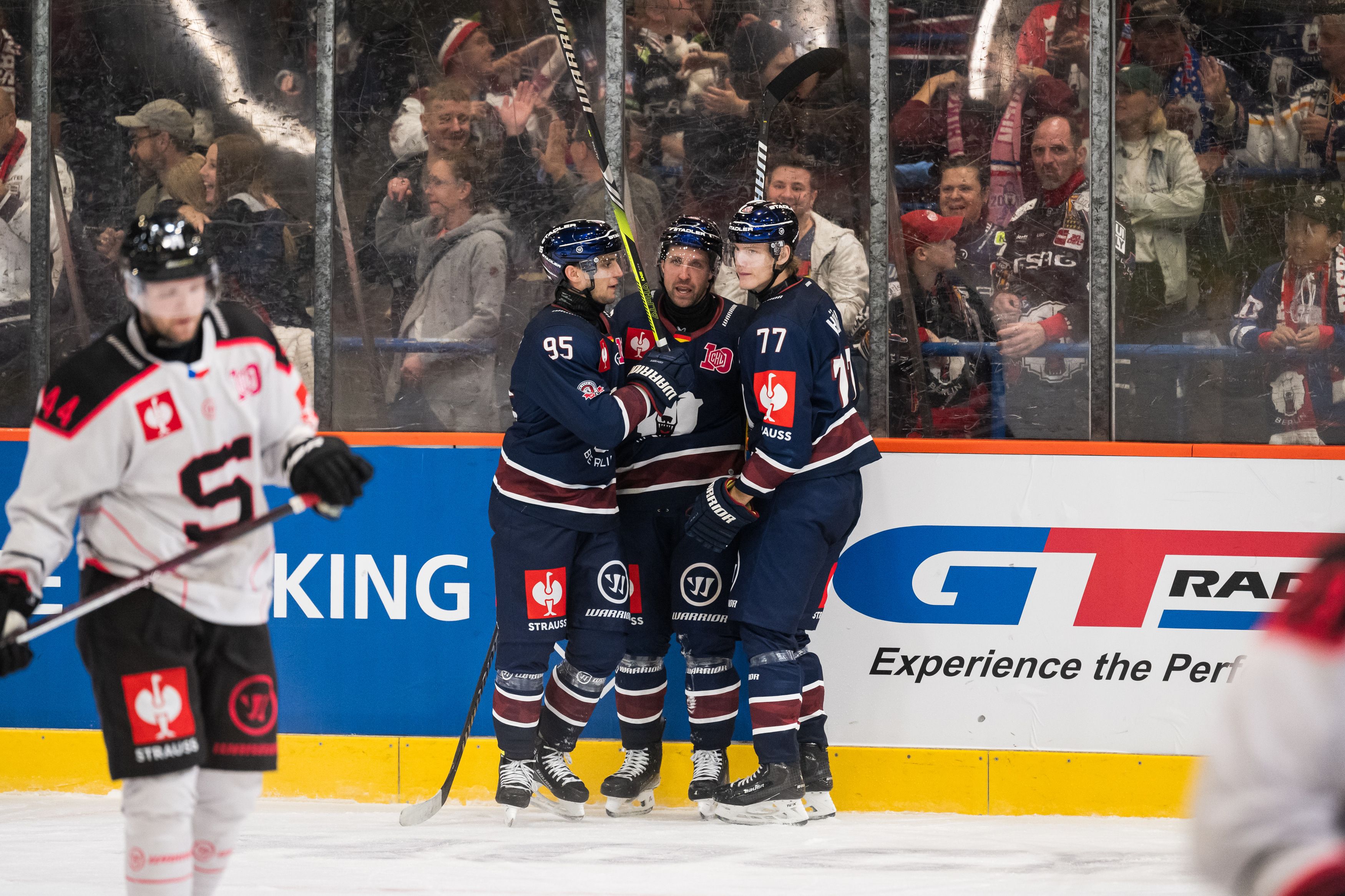 Image - DEL-Start: Für Eisbär Freddie Tiffels  wird es gleich richtig knifflig