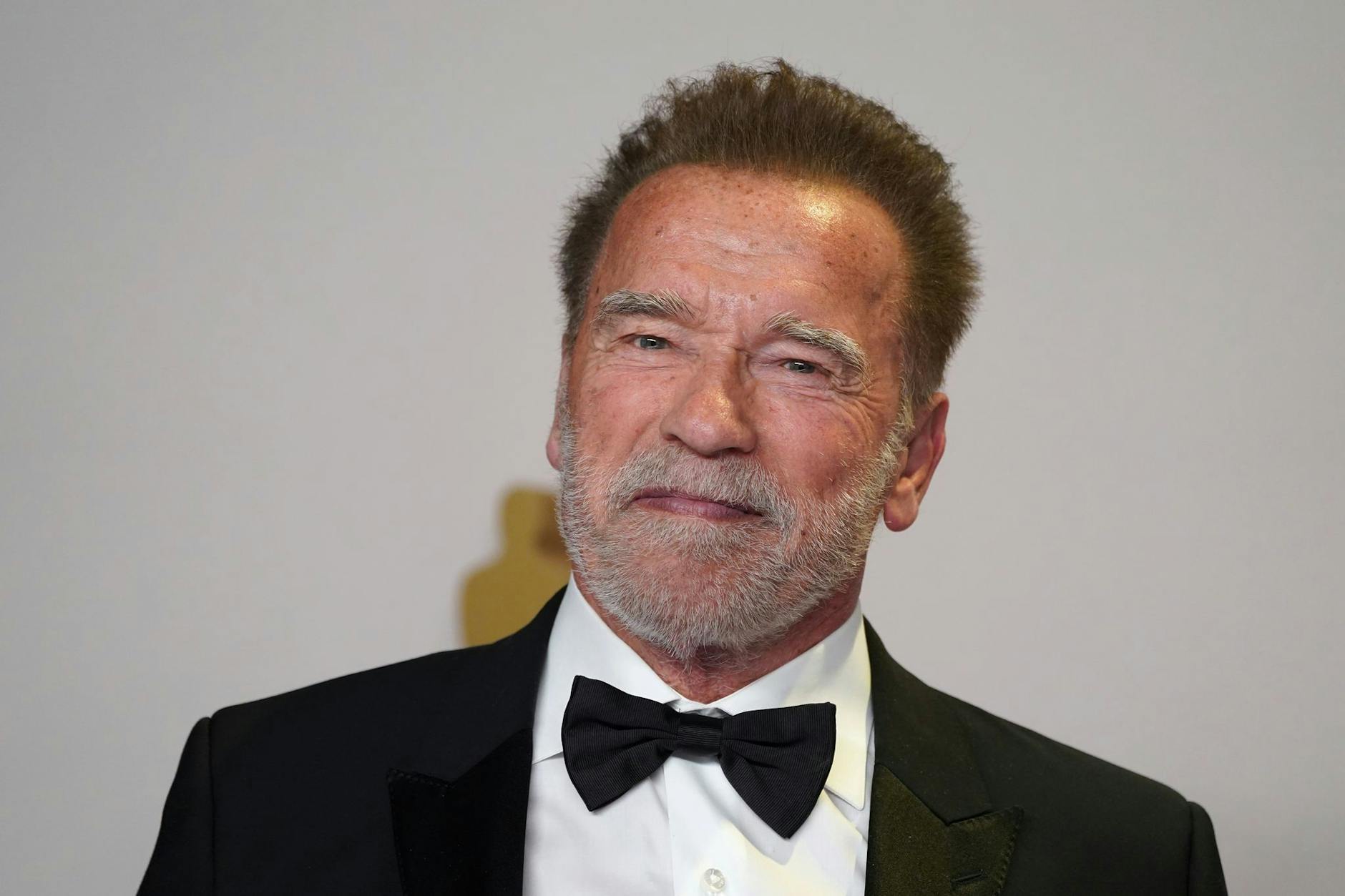 Arnold Schwarzenegger setzt sich schon seit Langem für den Umweltschutz ein. 