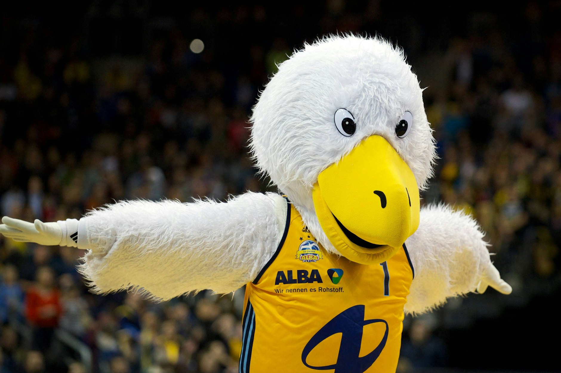 Konstante im Verein: Maskottchen Albatros