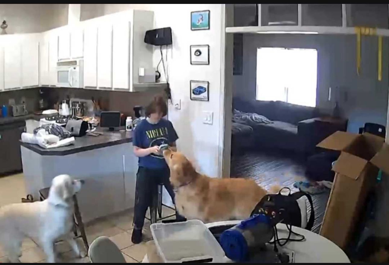 Überwachungskamera filmt die Tat: 14-Jährige schießt ihrer Mutter zweimal ins Gesicht