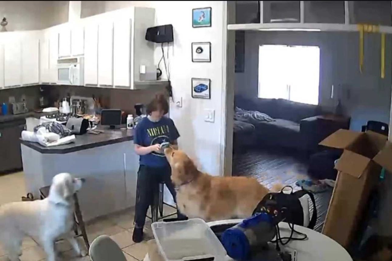 Die Überwachungskamera filmte, wie Carly nach der Bluttat Nachrichten auf ihrem Handy schreibt.