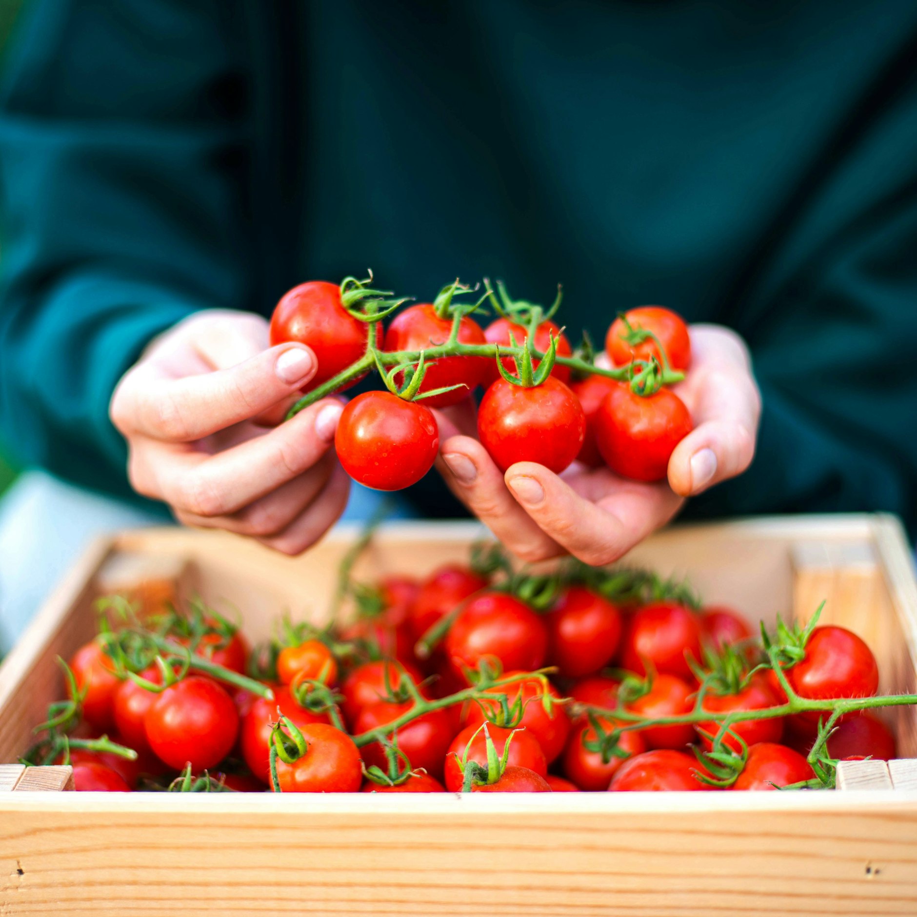 Tomaten können die Faltenbildung verlangsamen.