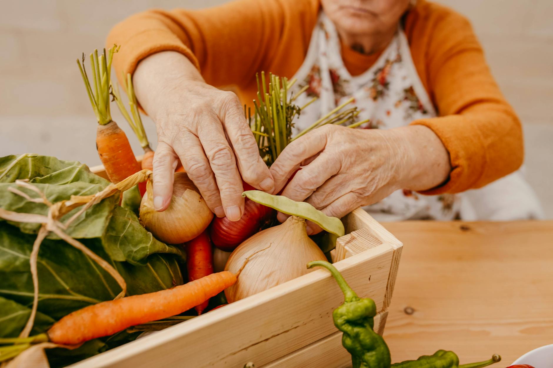 Herbstliches Gemüse für Fonds: Karotten, Lauch, Sellerie, Pastinaken und Kürbis – frisch vom Markt, perfekt für die kalte Jahreszeit.