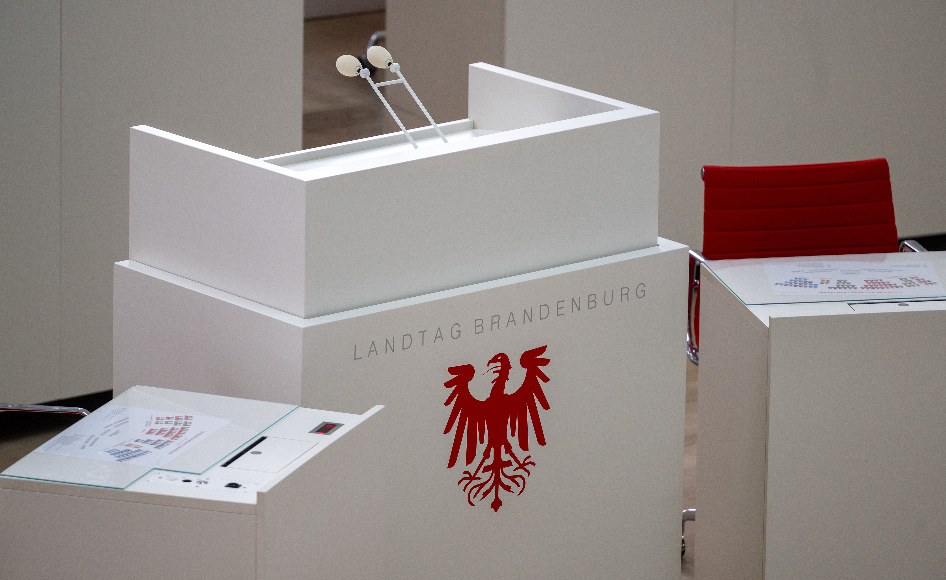 Wahl in Brandenburg – AfD und SPD kämpfen um Platz eins