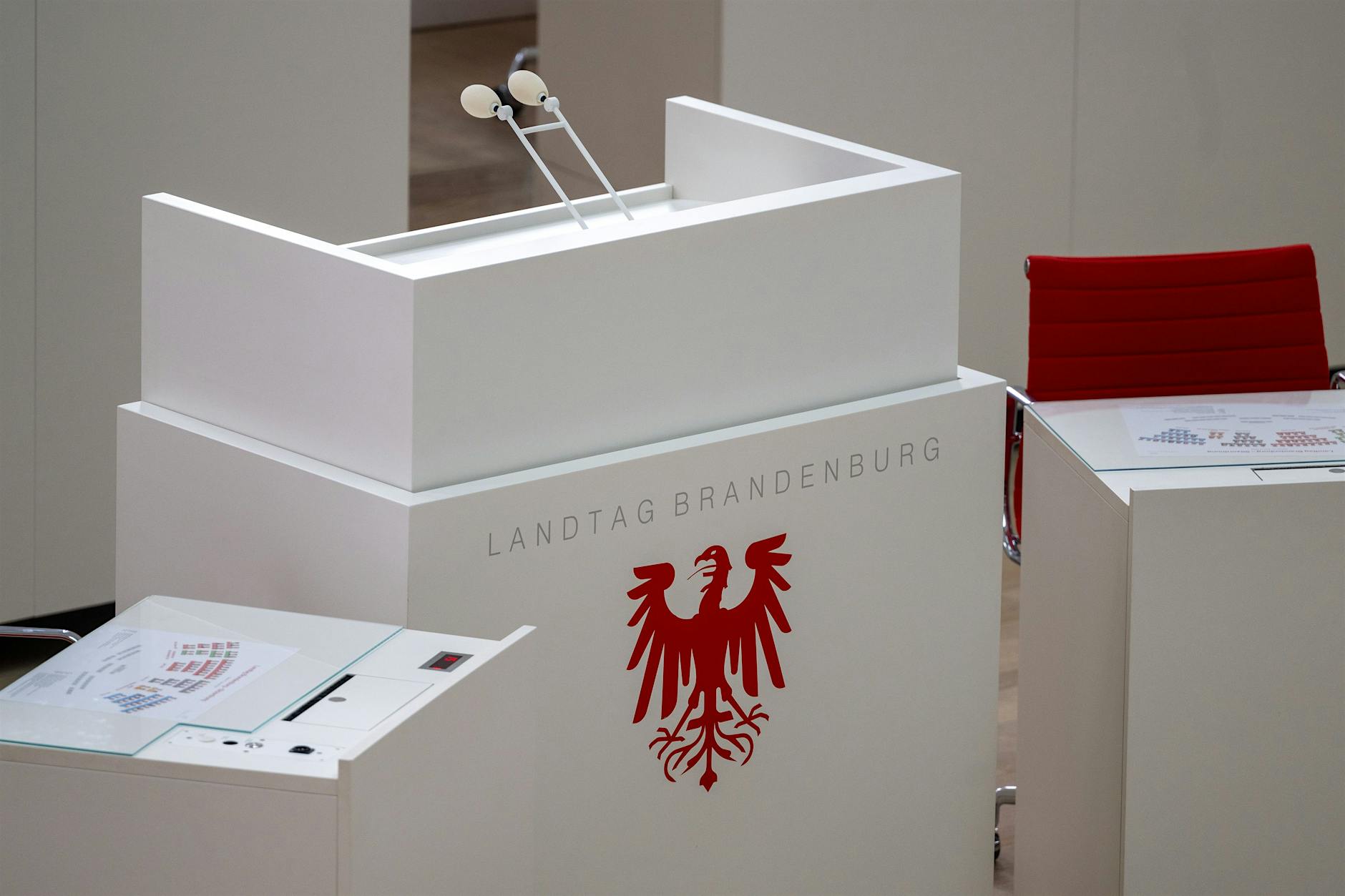 Wahl in Brandenburg – AfD und SPD kämpfen um Platz eins