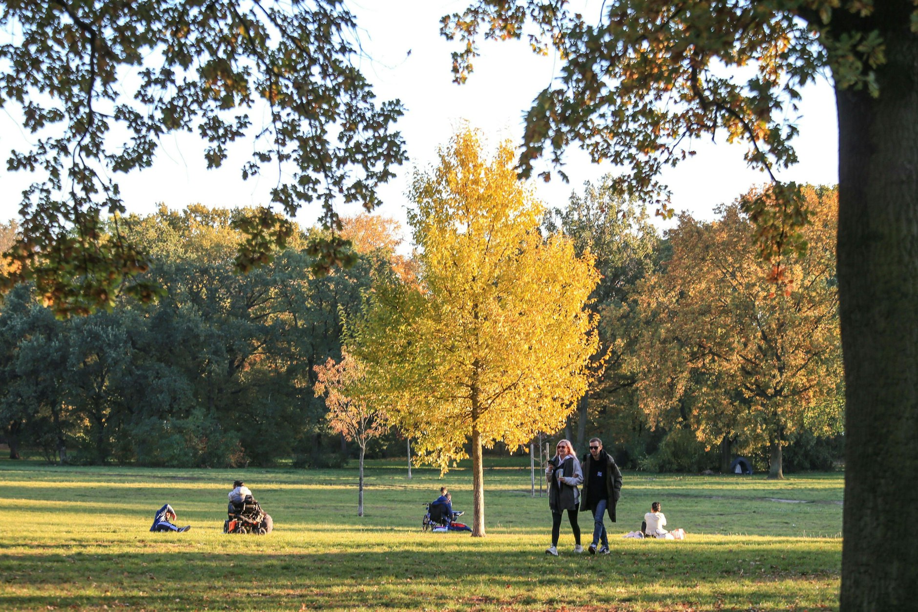 So sieht es im frühen Herbst in der Hasenheide in Berlin-Neukölln aus.
