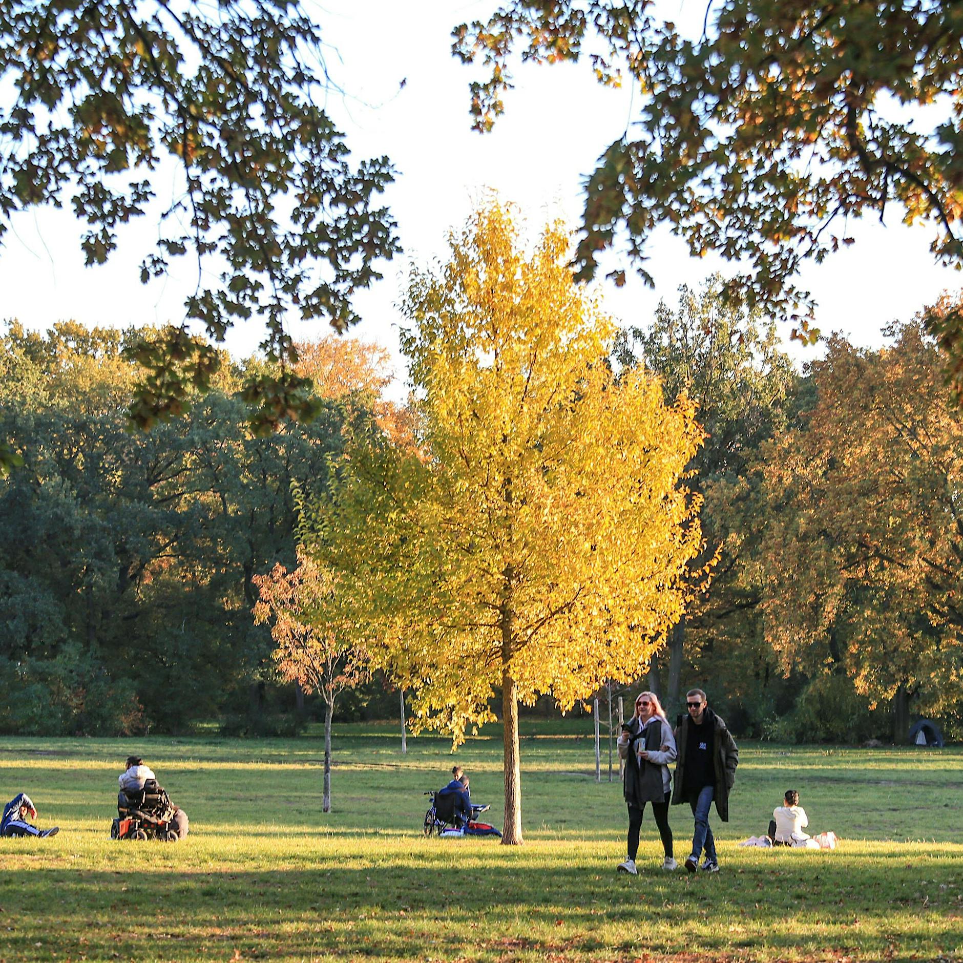Wetter in Berlin heute aktuell: Wann wird es Herbst, wann wird es kalt?
