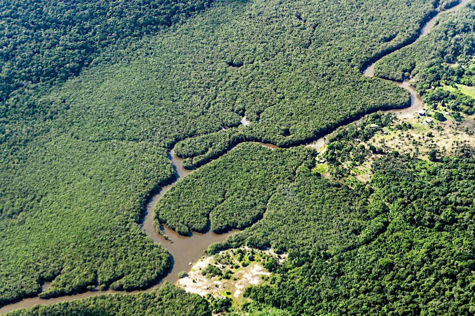 Manaus: Ein kleiner Fluss schlängelt sich durch den Amazonas-Regenwald.&nbsp;