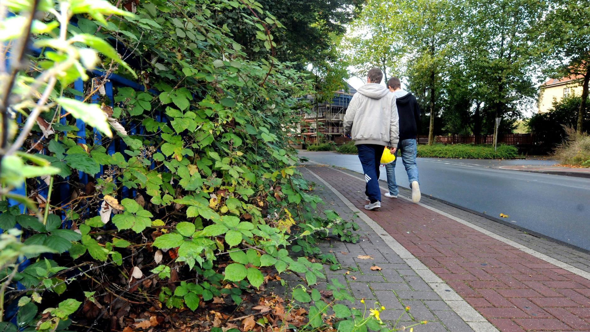 Sind die Gehwege zugewuchert, müssen Fußgänger auf die Radwege ausweichen.